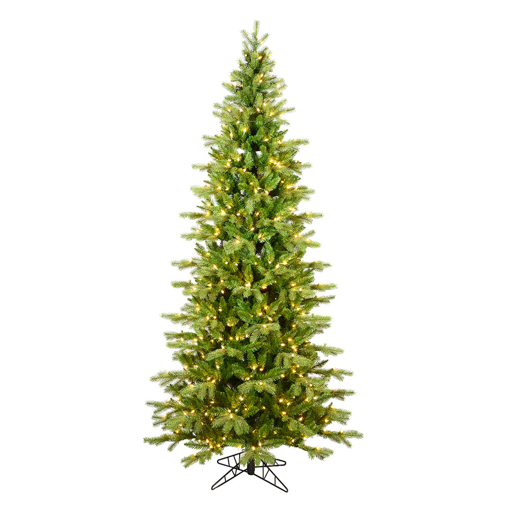Vickerman 10' x 56” Balsam Spruce 3mm 2100WW - K186286LED