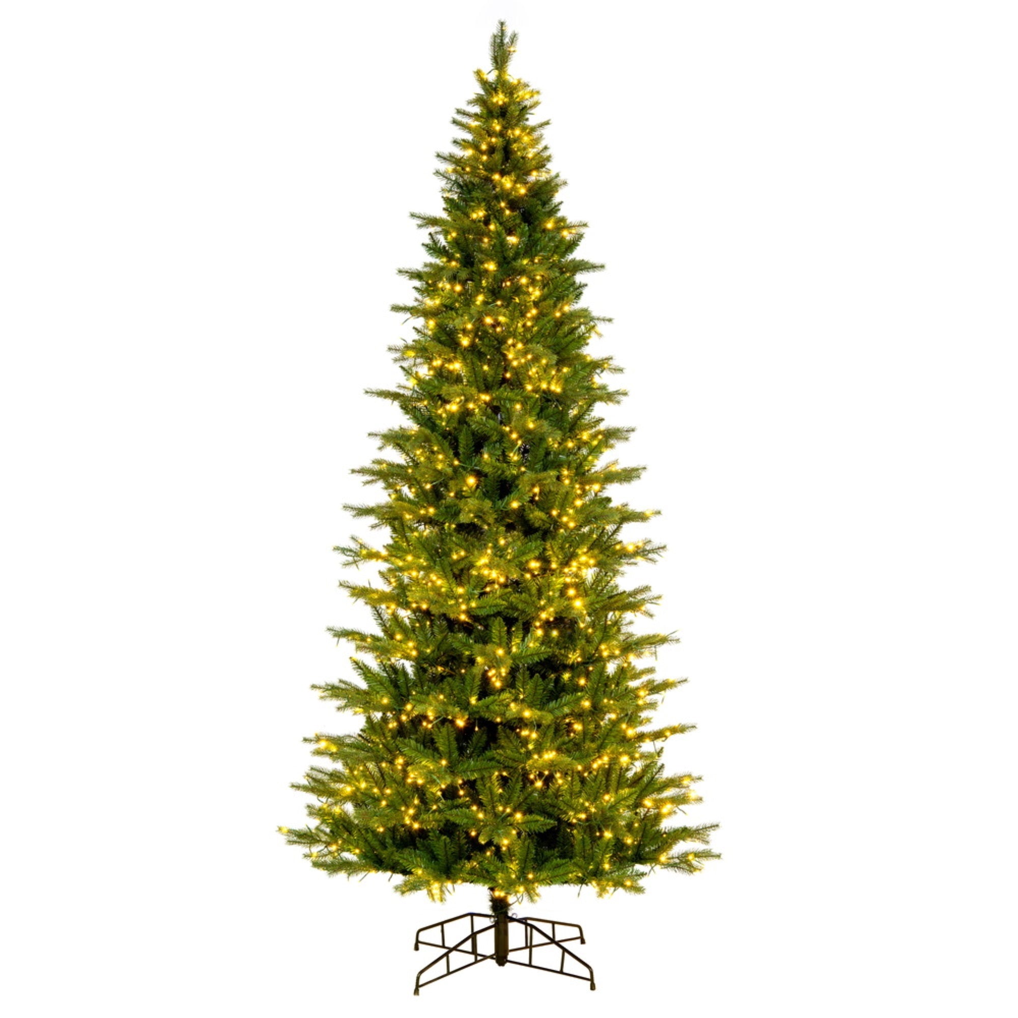 12' x 65” Balsam Spruce 3mm LED 2850CC