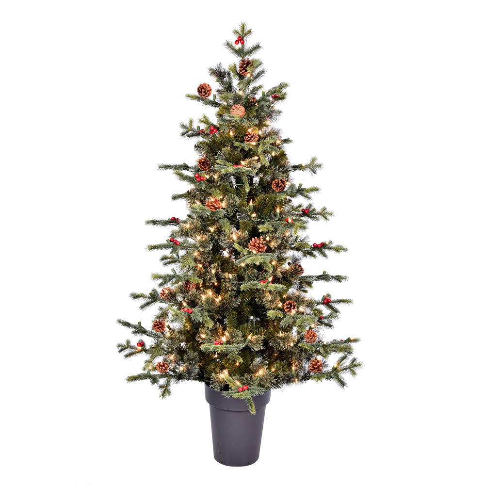 Vickerman 5' x 41” Potted Timberline DuraLit 250CL - K190751