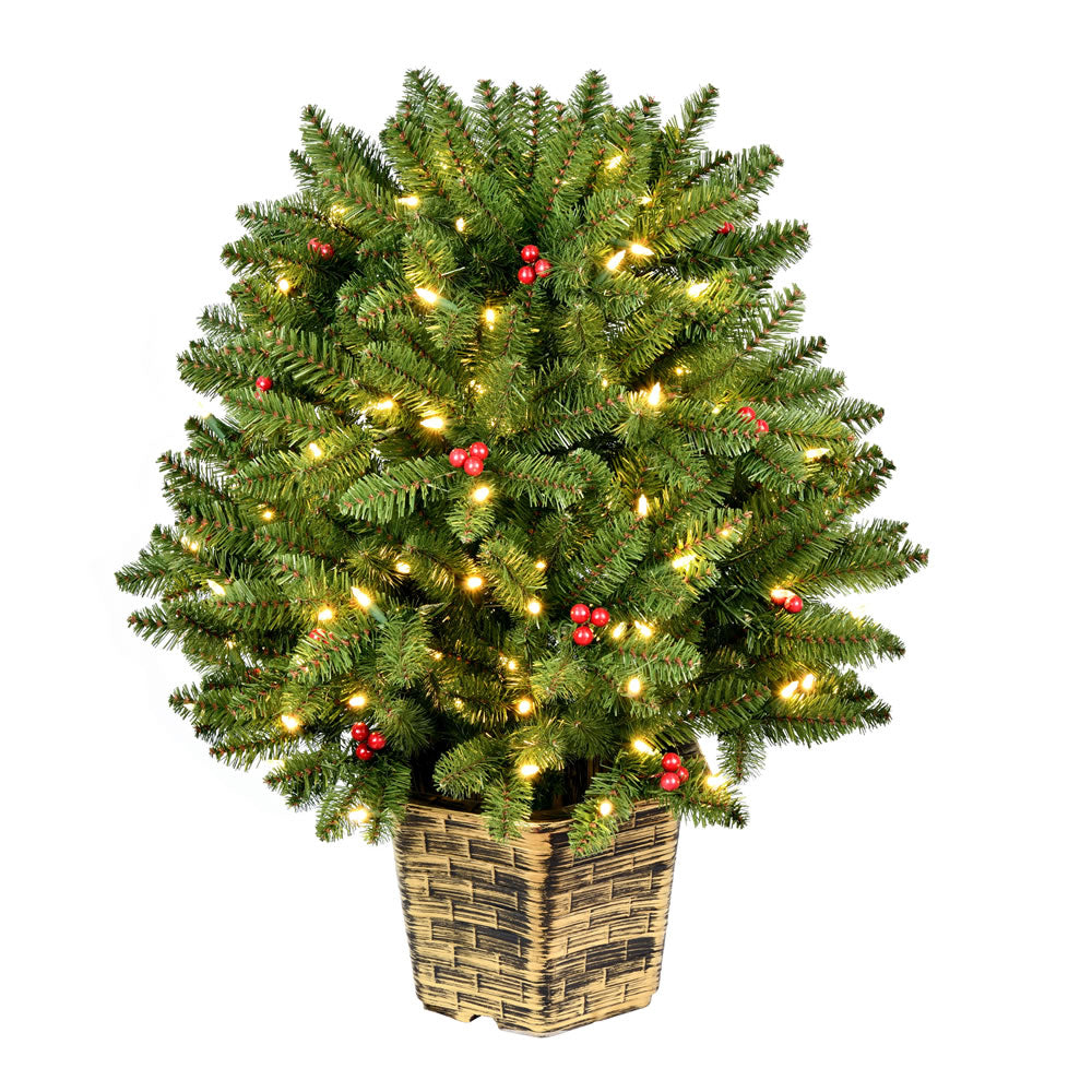 Vickerman 2.5' x 28” Tifton Globe DuraLit 100WW - K191826LED