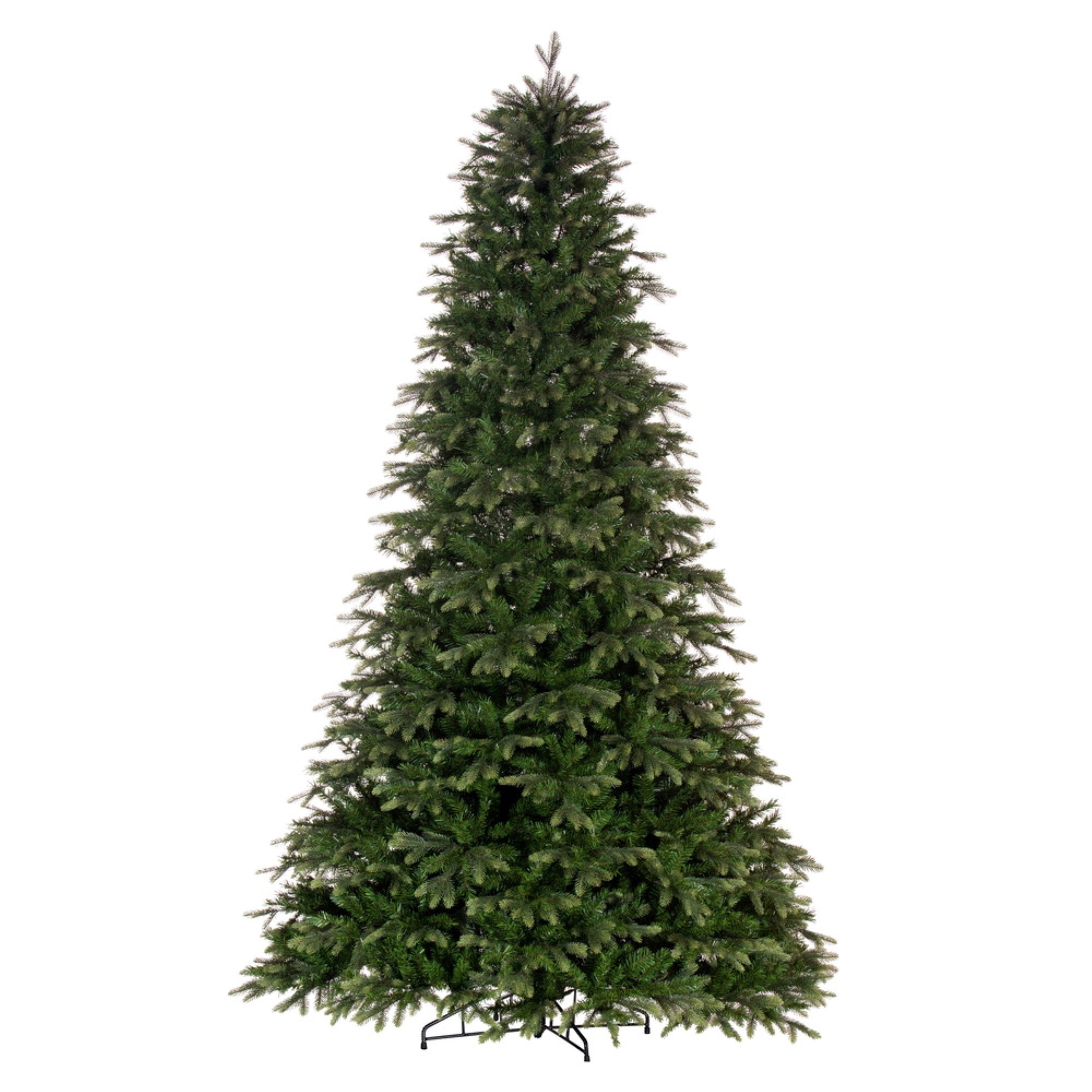 5.5' x 45” Douglas Fir 1641T