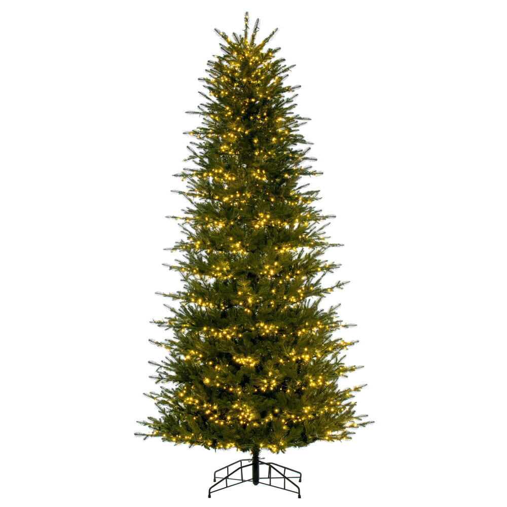 9' x 53” Georgian  3mm 2500WW