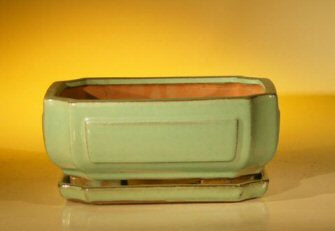 Light Green Ceramic Bonsai Pot - Rectangle<br>With Attached Humidity/Drip tray<br><i>8.5 x 6.5 x 3.5</i>