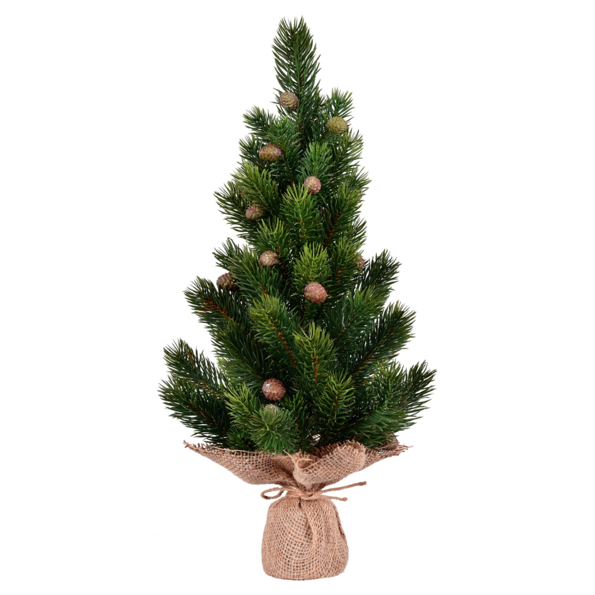 19” Spruce Sapling Tree Cones Burlap