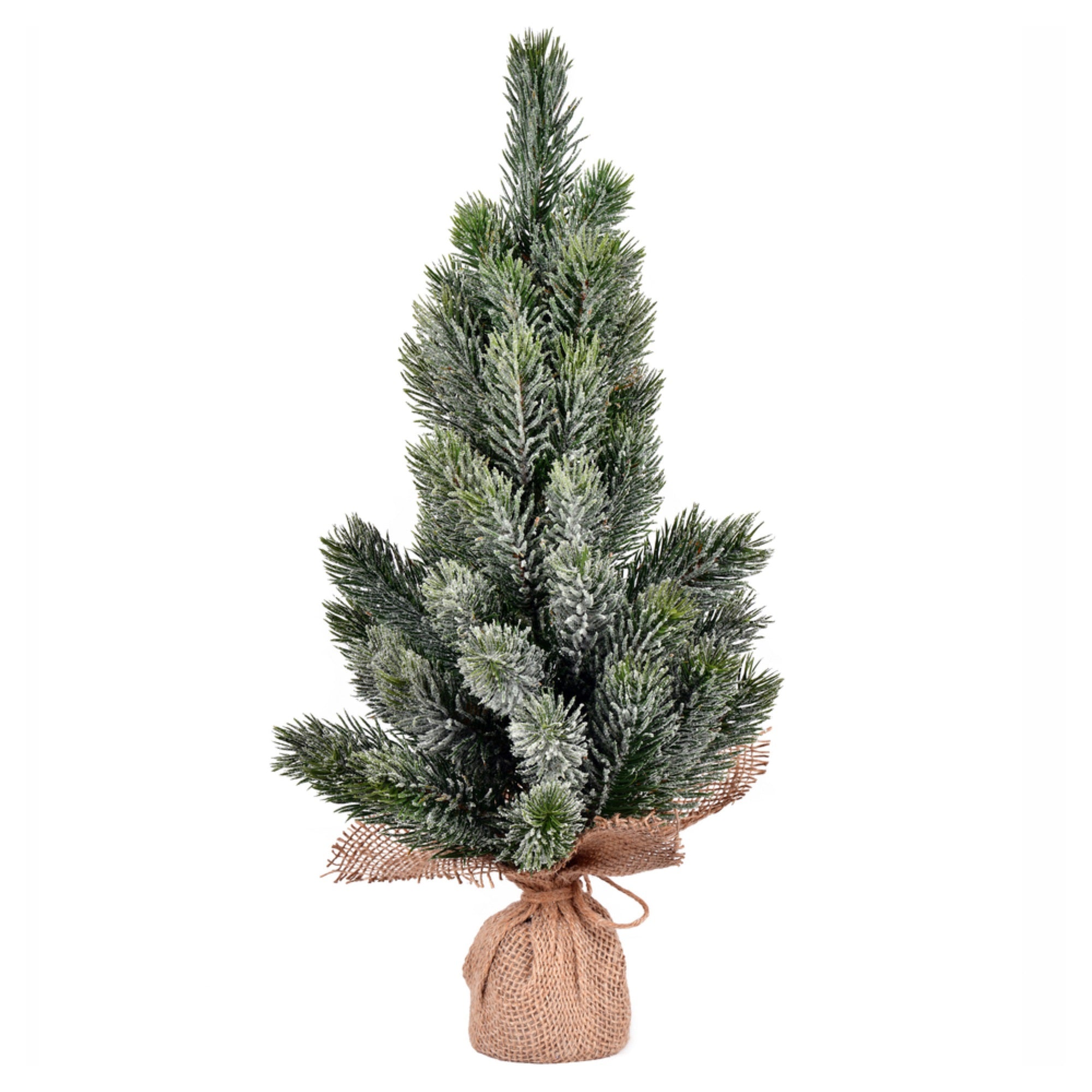 19” Frosted Spruce Sapling Tree Burlap