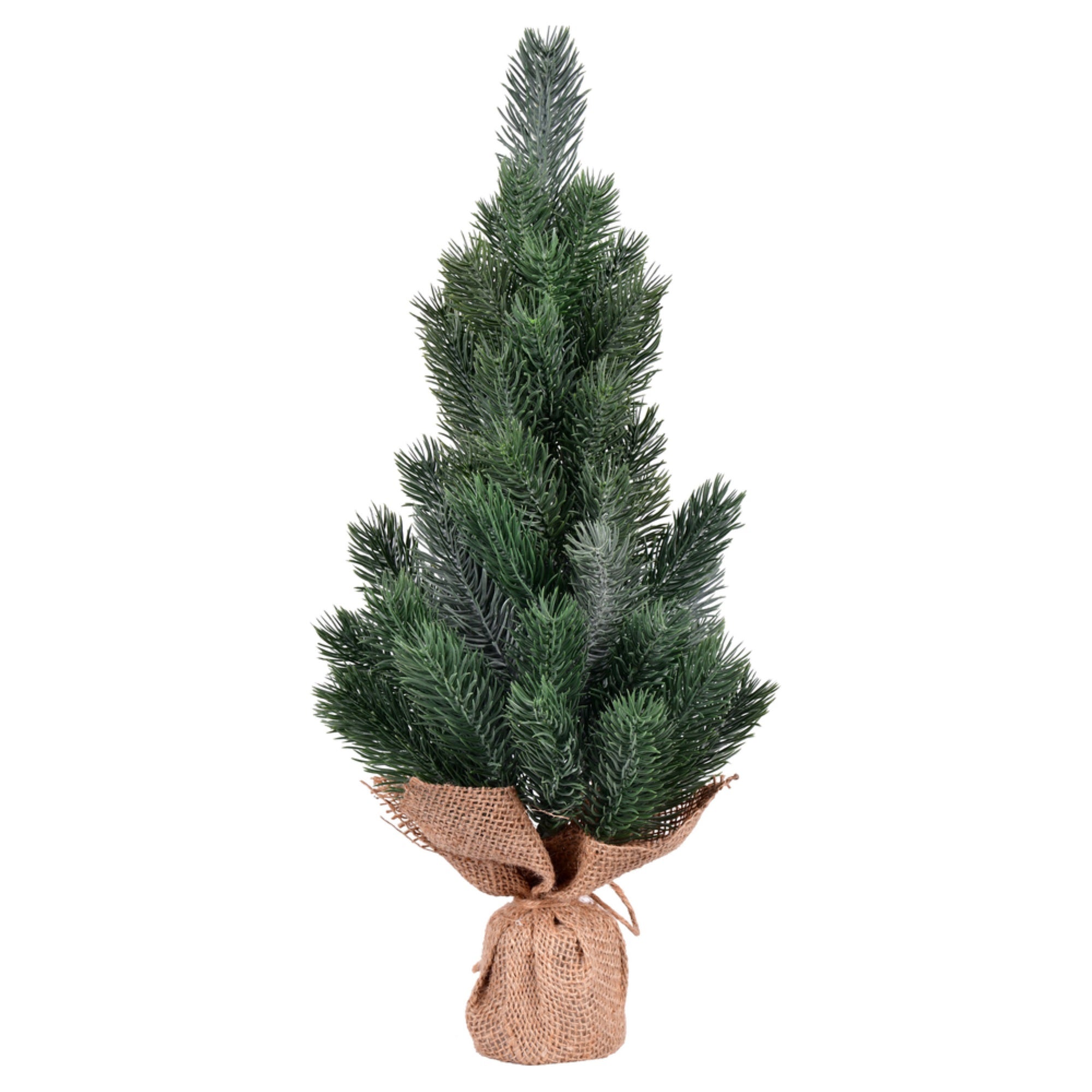 15” Blue Spruce Sapling Tree Burlap 2Pk