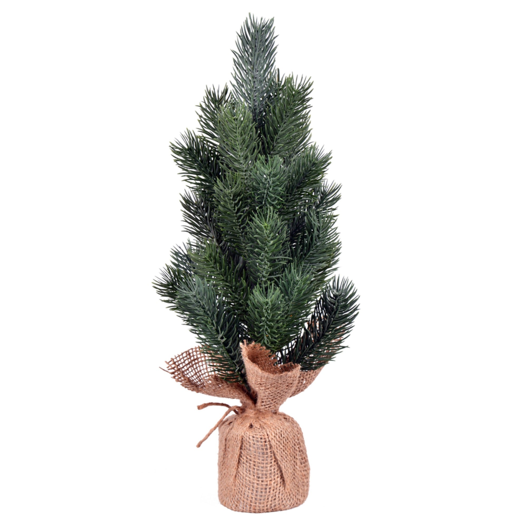 19” Blue Spruce Sapling Tree Burlap Base