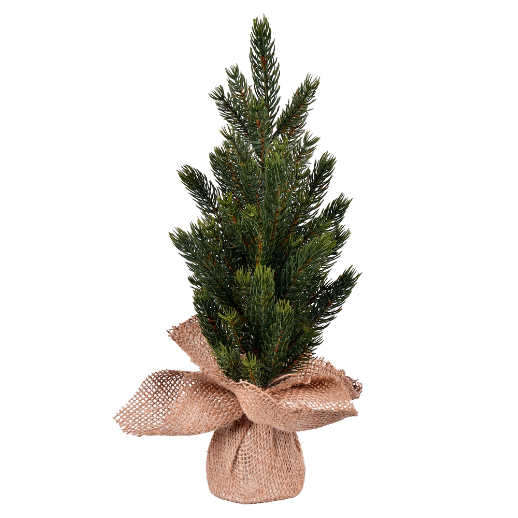15” Balsam Fir Sapling Tree Burlap 2Pk