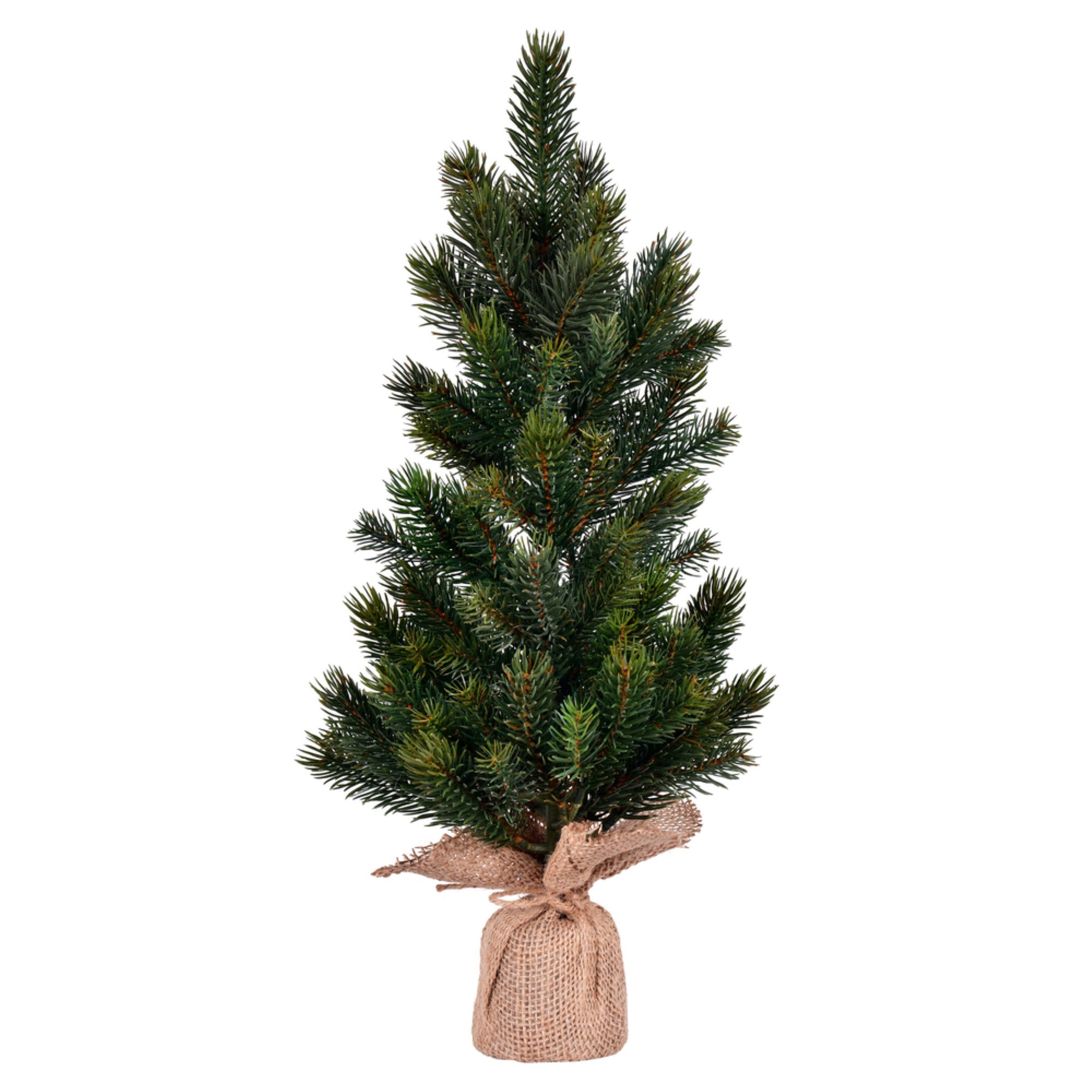 19” Balsam Fir Sapling Tree Burlap Base