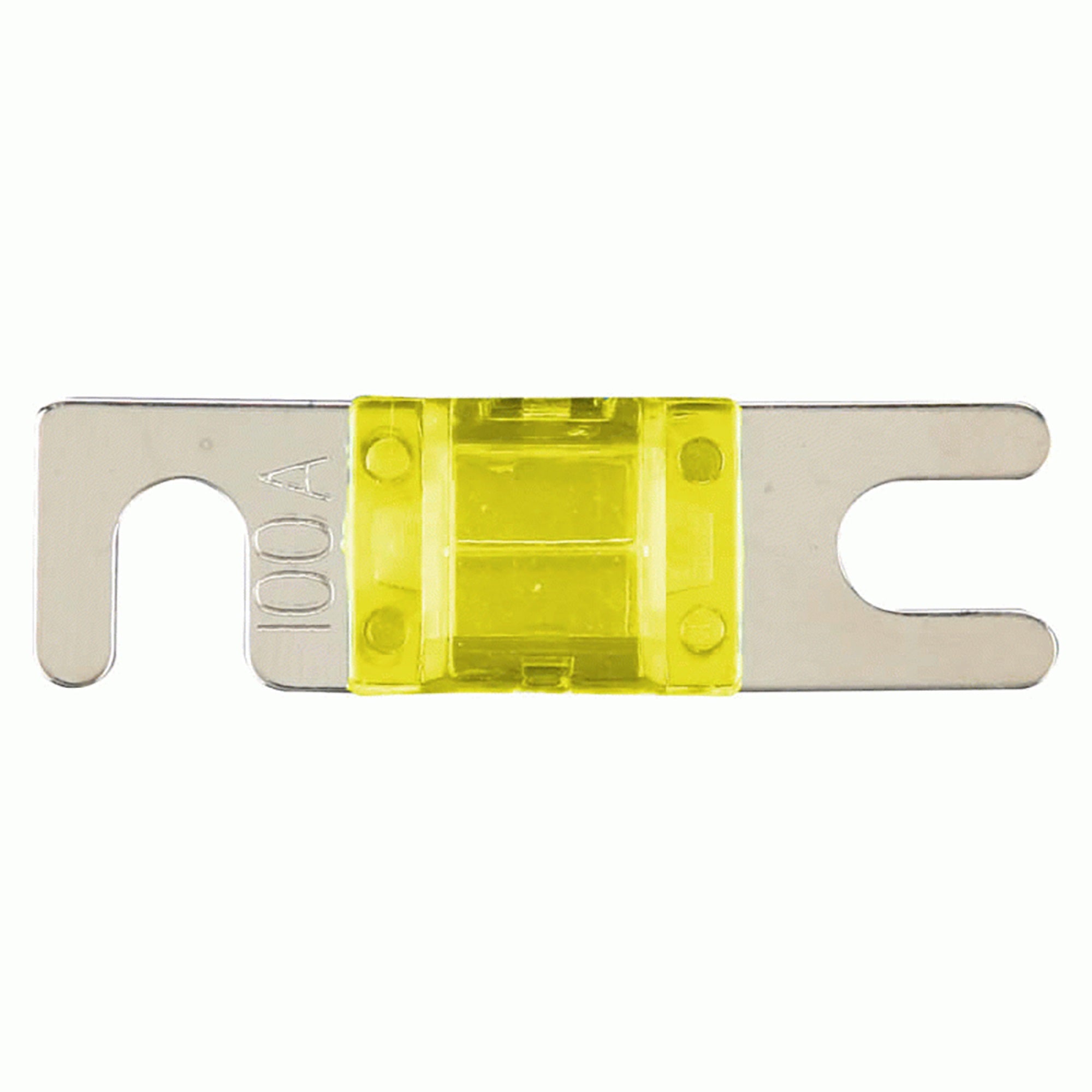 Mini Anl 100 Amp Fuse 2 Pack