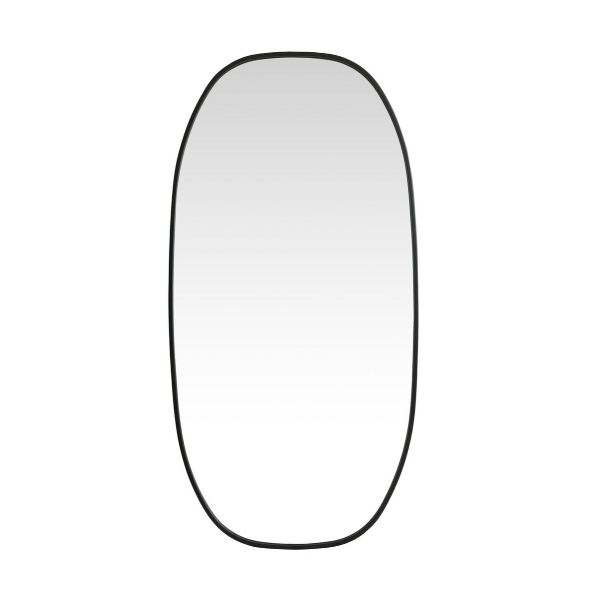 Metal Frame Oval Mirror 24X48 Inch In Black