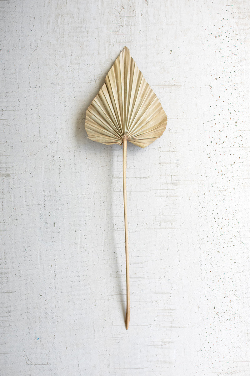 Large Natural Palm Spear