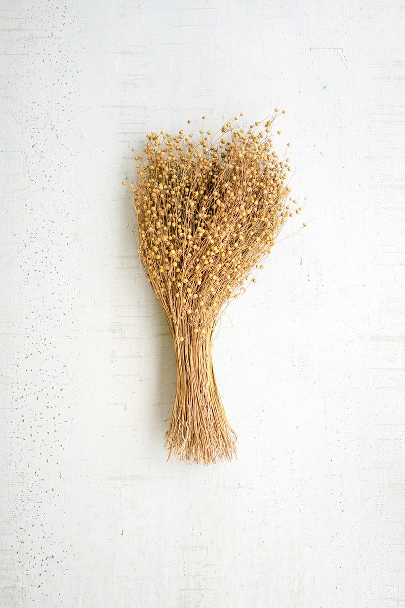 Bundle Of Natural Lino Stems
