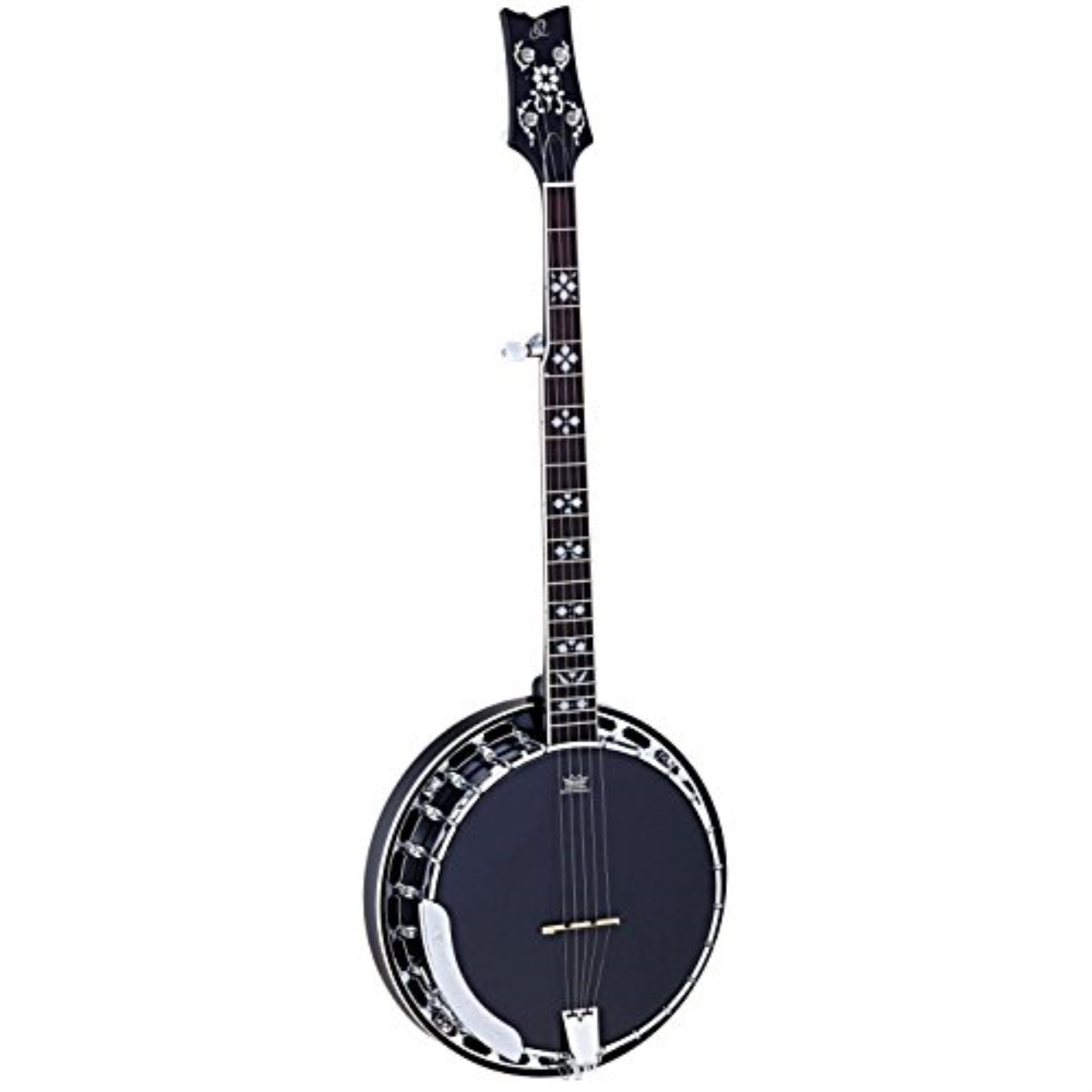 Raven Series 5-String  Banjo with Bag