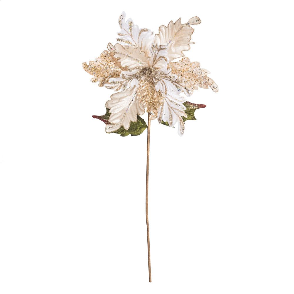 Vickerman 20” Gold Glitter Poinsettia 14” Flr 3/Bg - OF181208