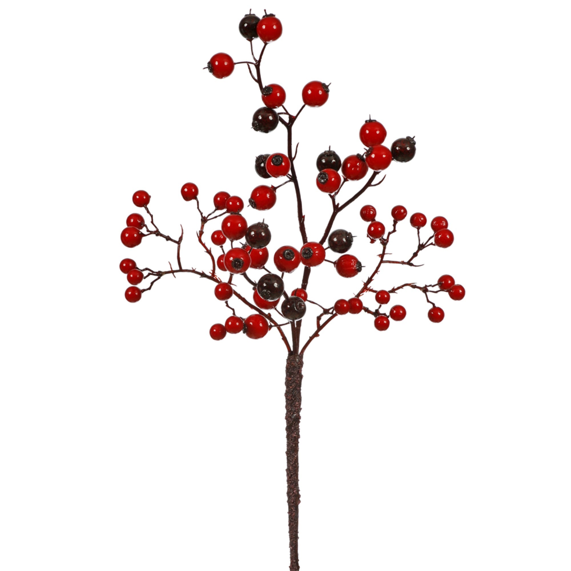 13” Red/Burgundy Berry Pick Outdoor 6/Bg