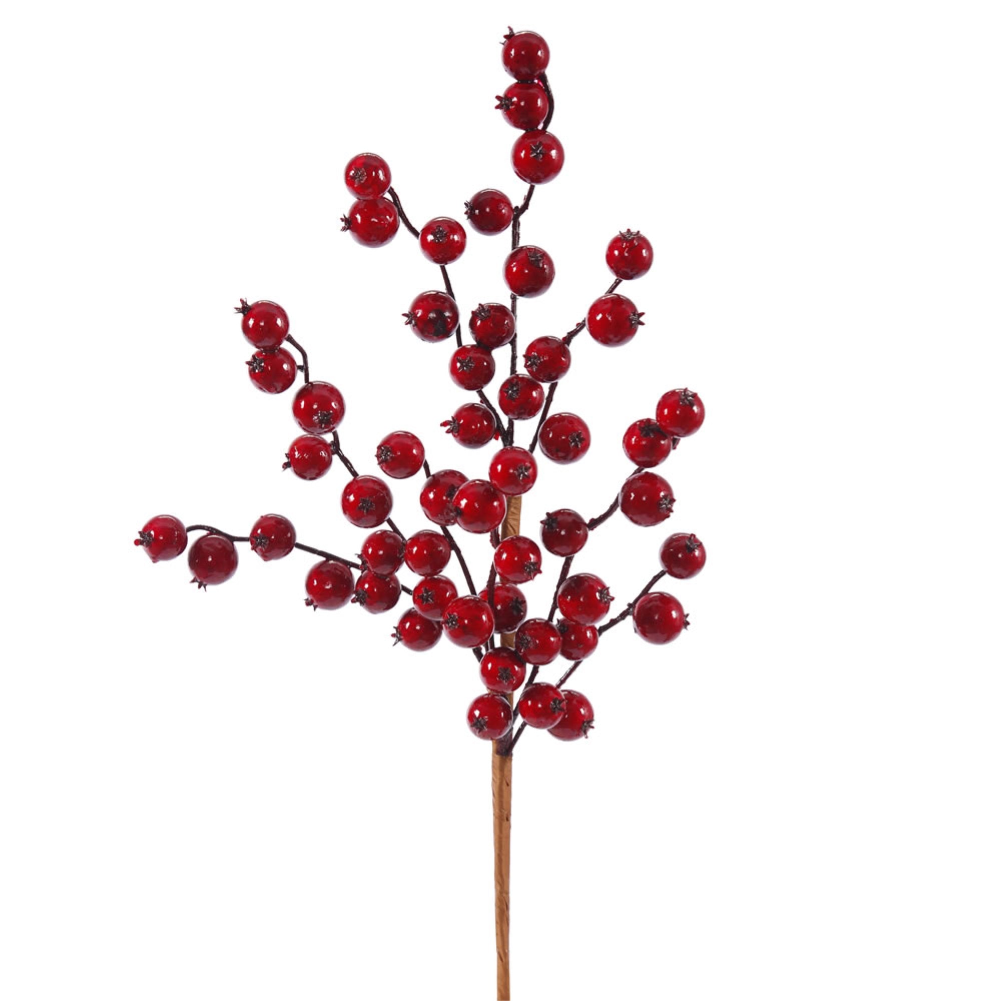 16” Red Gooseberry Outdoor Pick 6/Bag