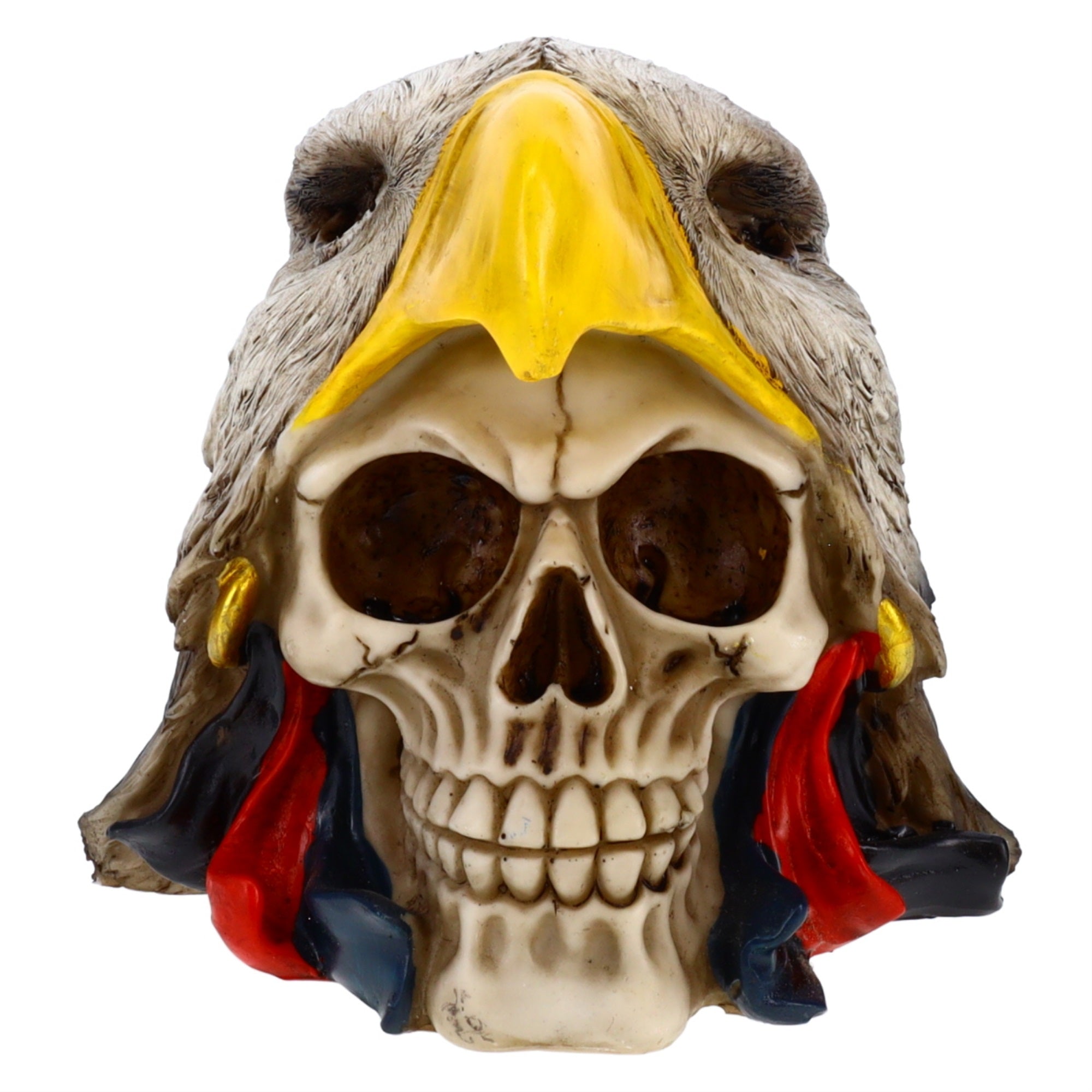 Eagle Hat Skull