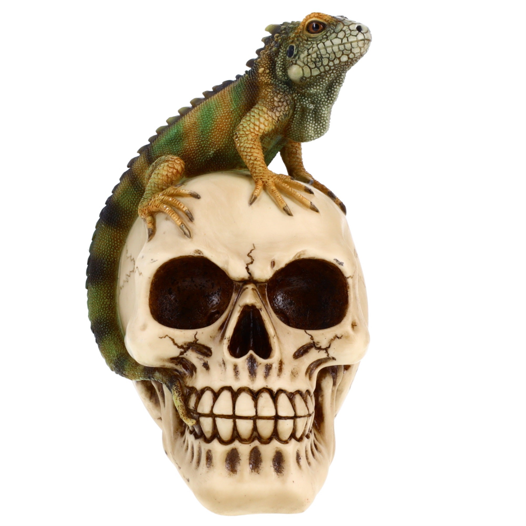 Treasure Cove Resin Iguana On A Skull Design P784112A Calaveras Halloween Decoration Gothic Lizard Skeleton Head Dia De Los Muertos Alebrijes