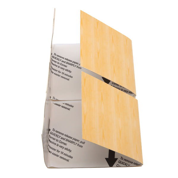 Raid Pantry Moth Trap