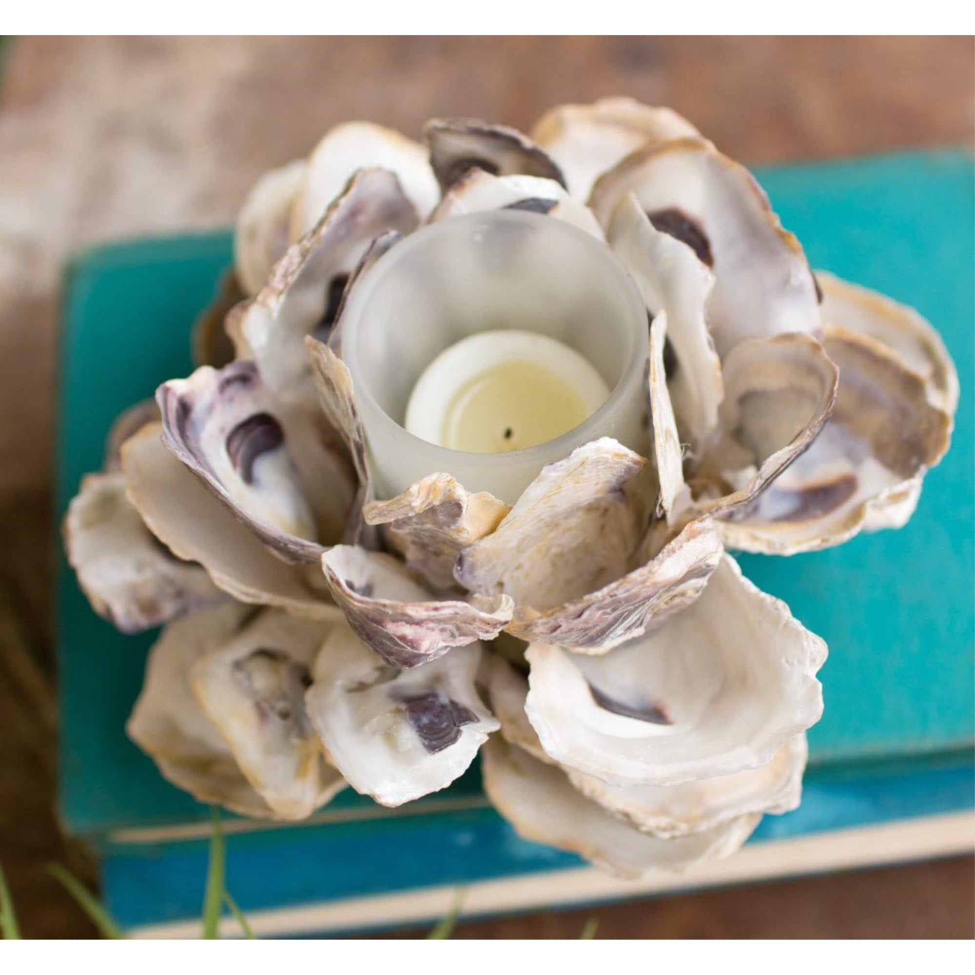 Oyster Shell Flower Votive Holder (Min 4)