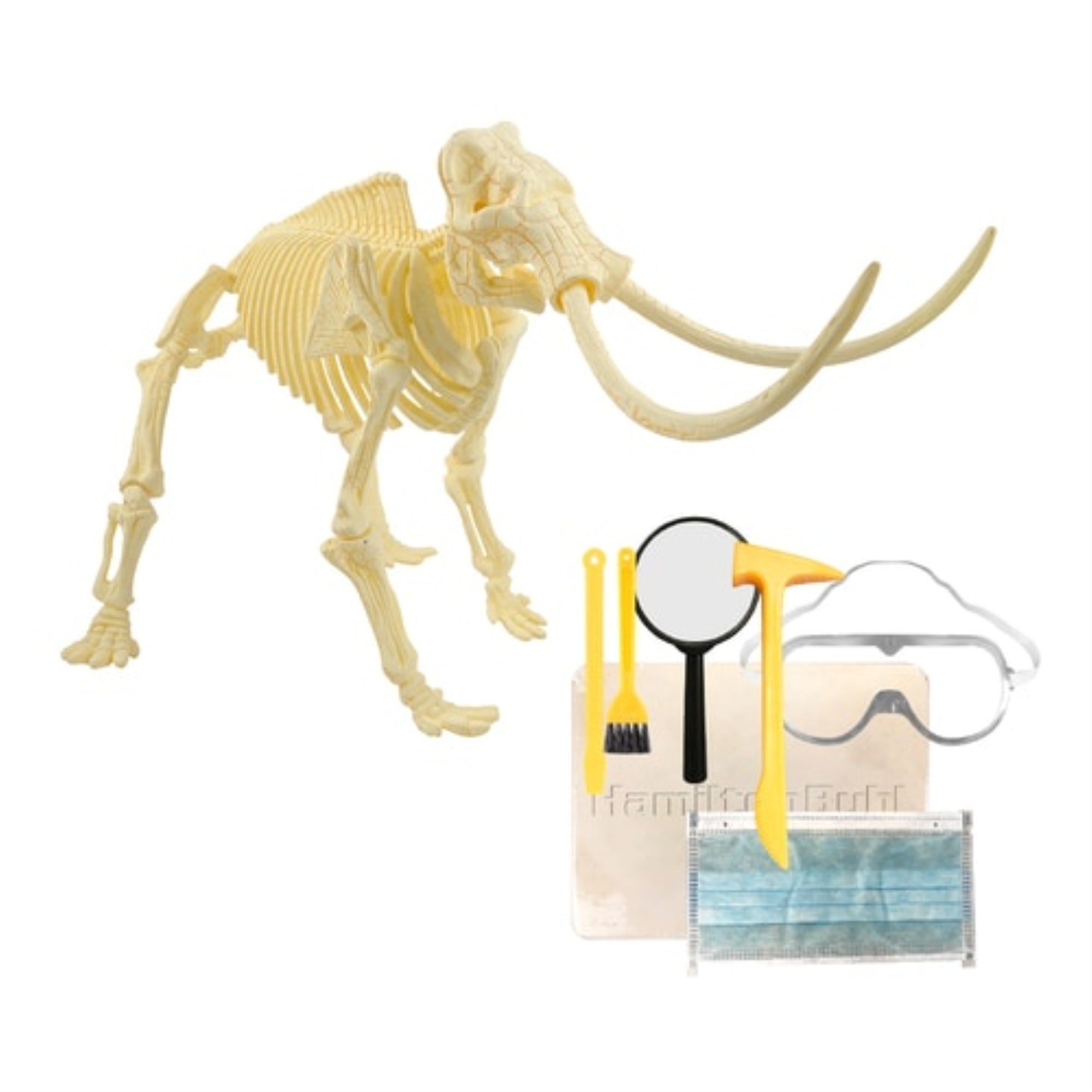 Steam Education - Hamiltonbuhl Paleo Hunter Dig Kit - Mammoth Rex