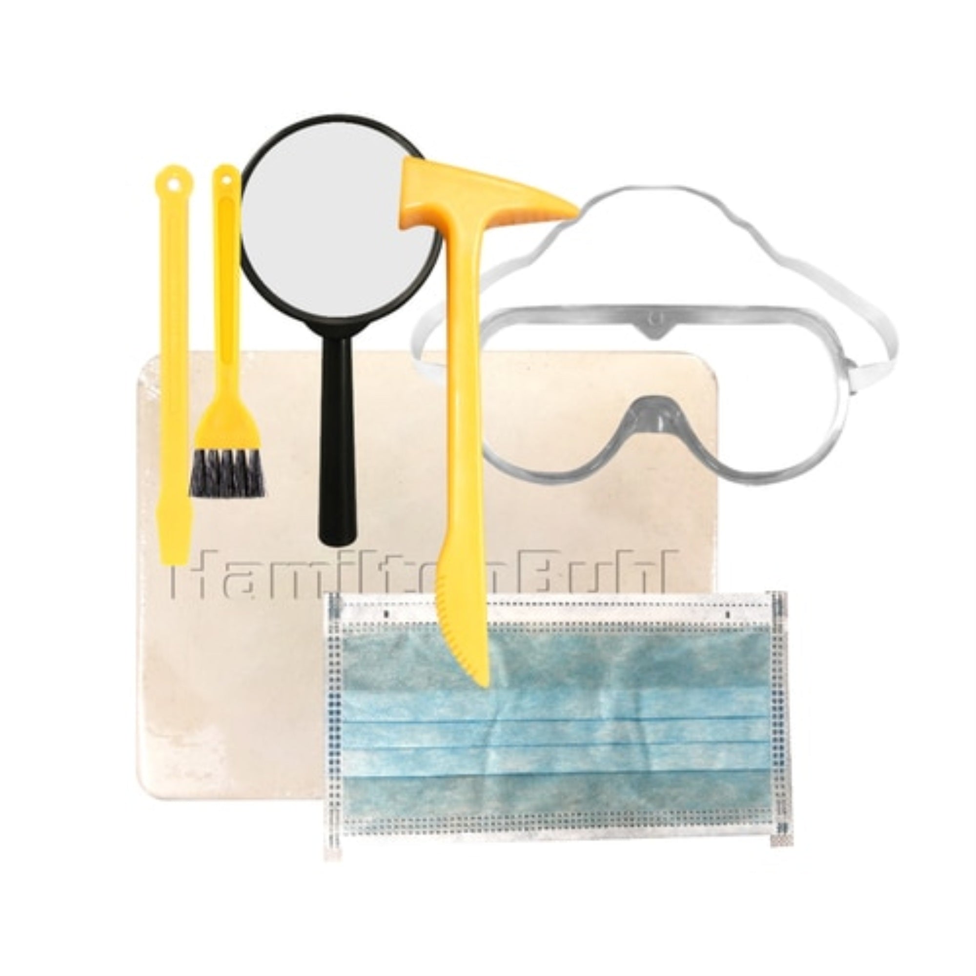 Steam Education - Hamiltonbuhl Paleo Hunter Dig Kit - Stegosaurus