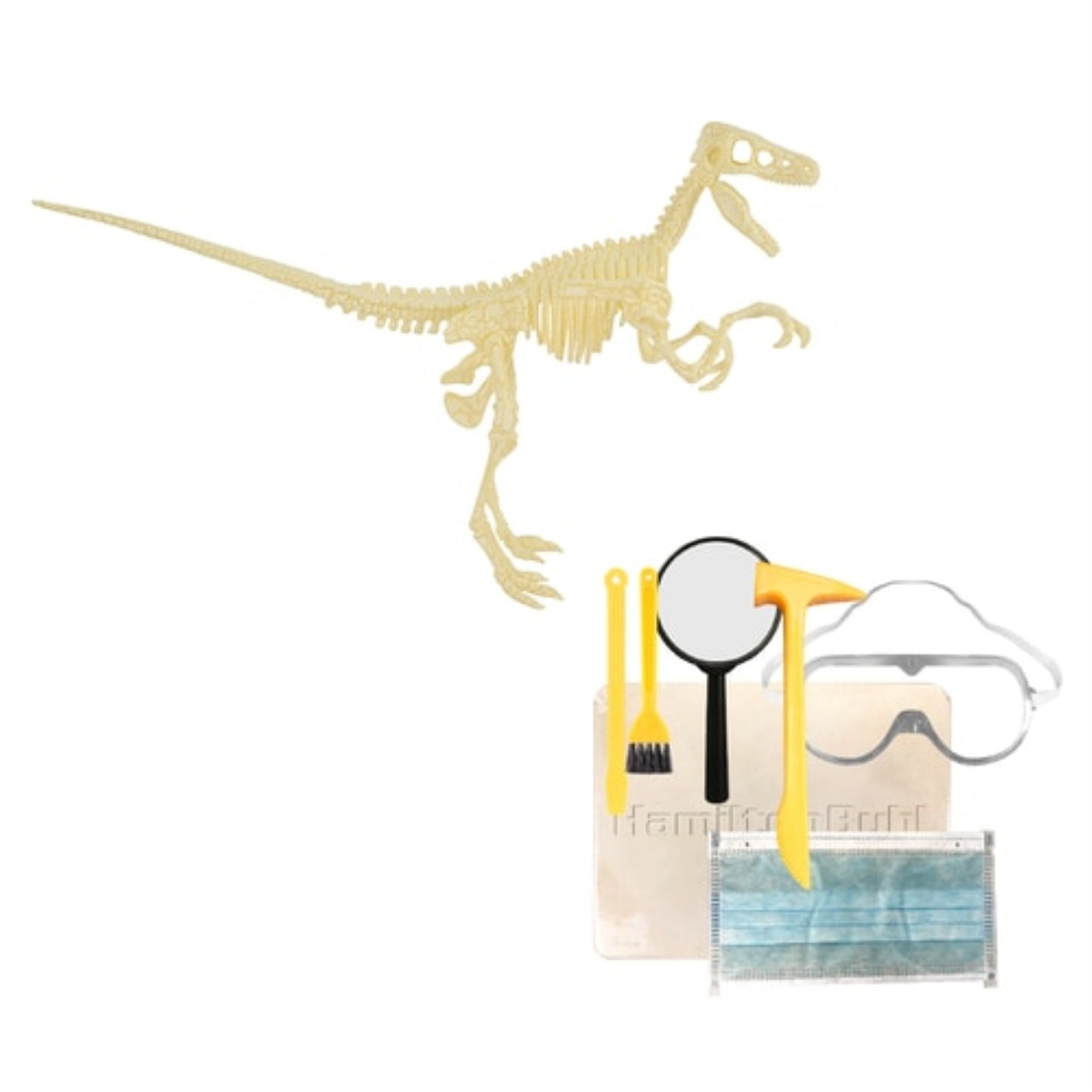 Steam Education - Hamiltonbuhl Paleo Hunter Dig Kit - Velociraptor Rex