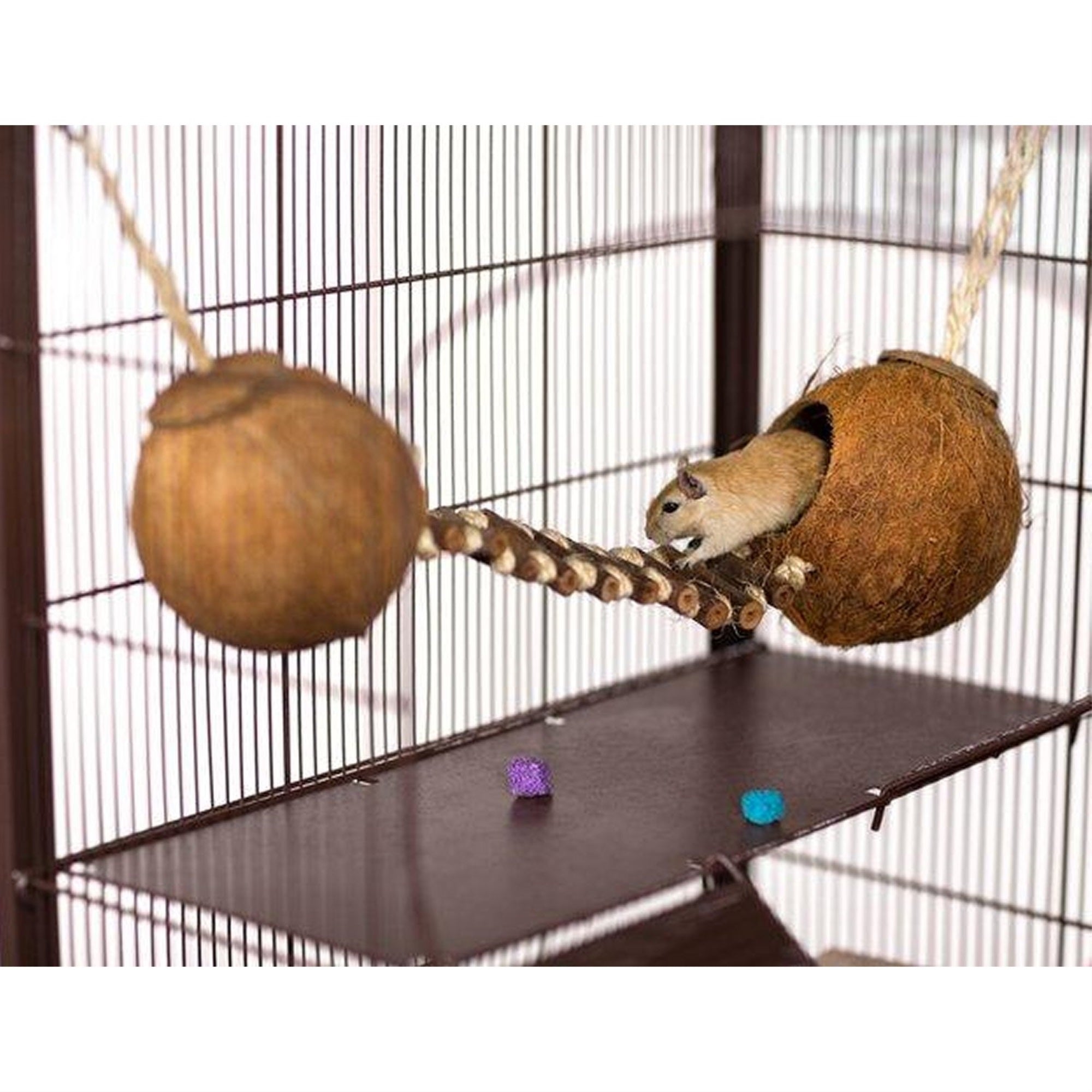 Prevue Pet Products Double Coconut With Ladder - 62818