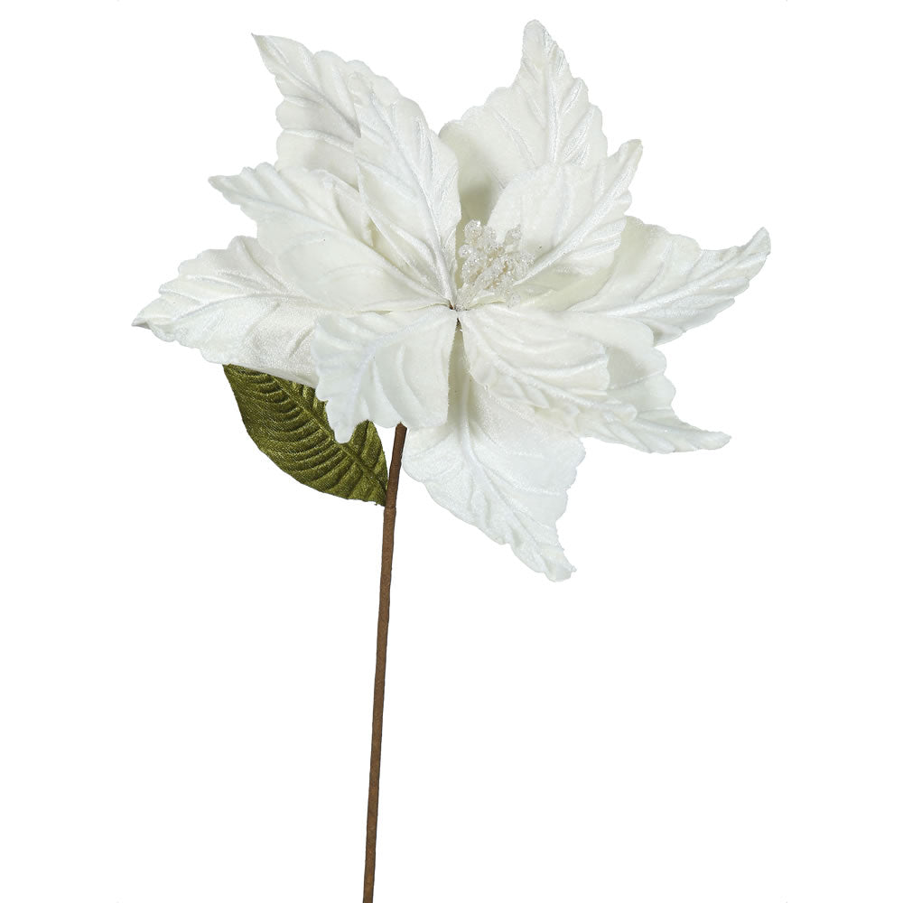Vickerman 22″ Cream Poinsettia, 12″ Flower, 6/Bag - QG162711