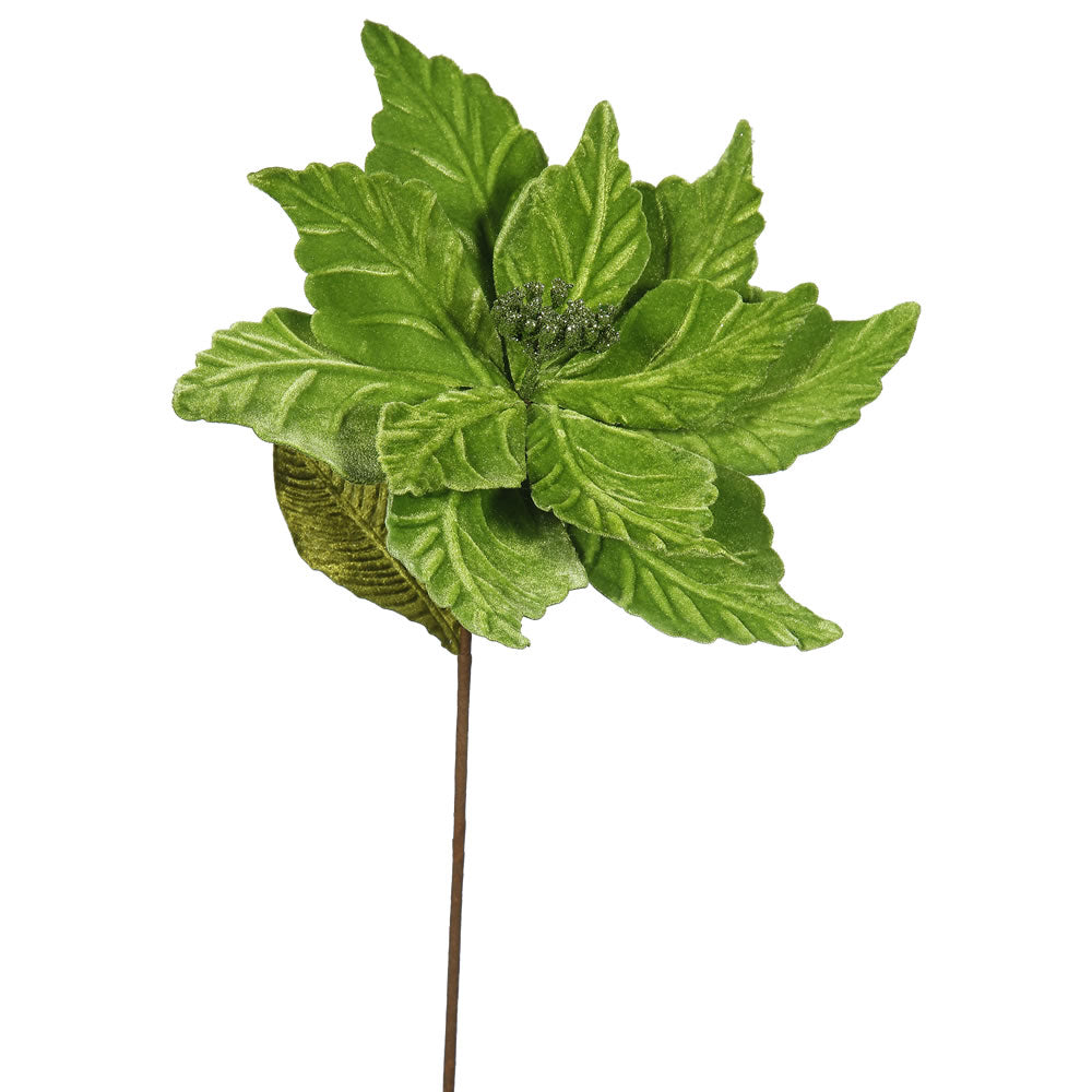 Vickerman 22″ Lime Poinsettia, 12″ Flower, 6/Bag - QG162713