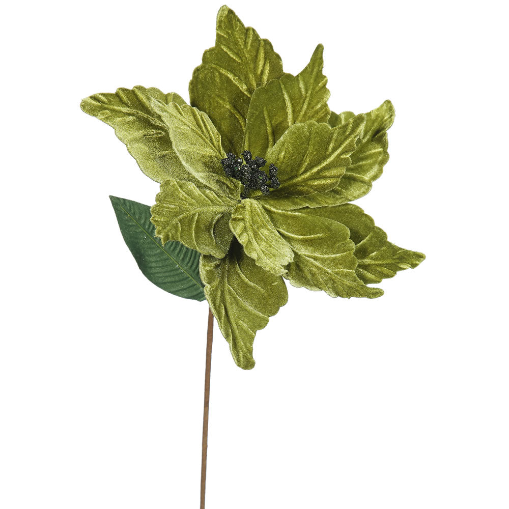 Vickerman 22″ Olive Poinsettia, 12″ Flower, 6/Bag - QG162714