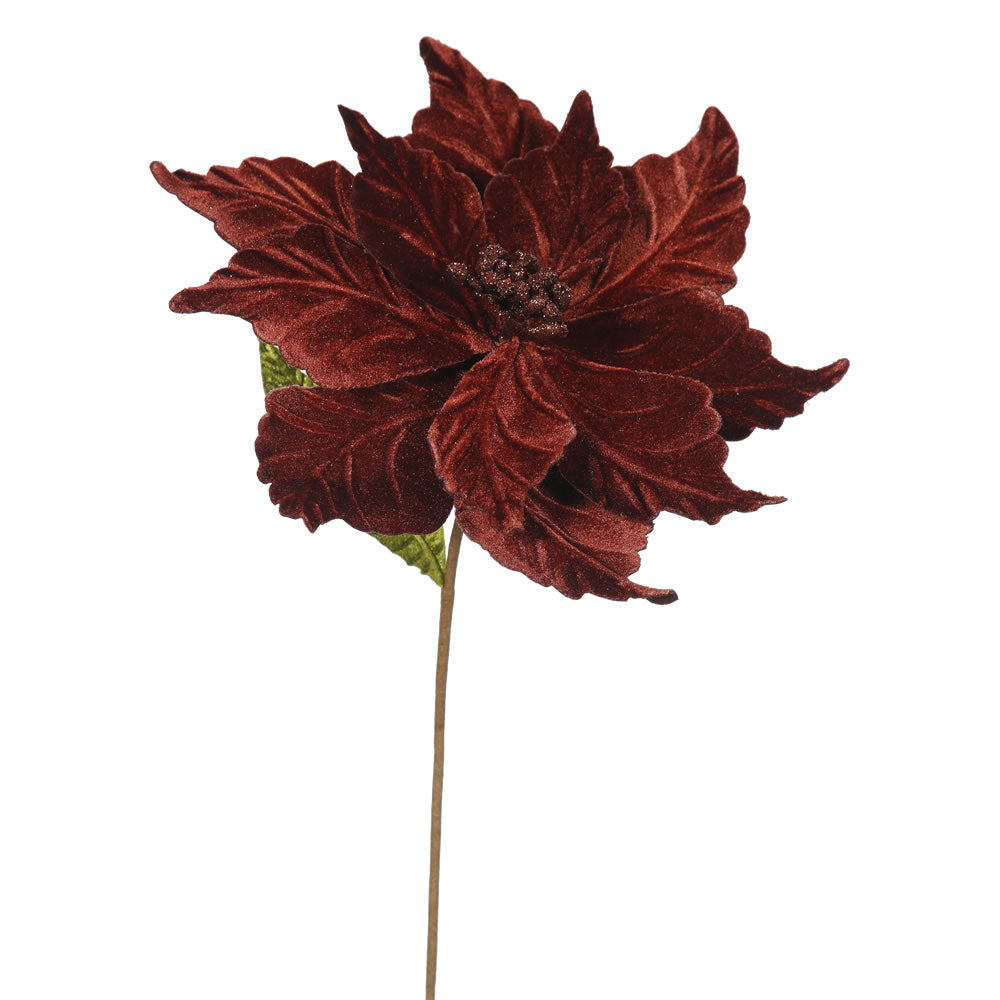 Vickerman 22″ Chocolate Poinsettia 12″ Flowr 6/Bag - QG162715