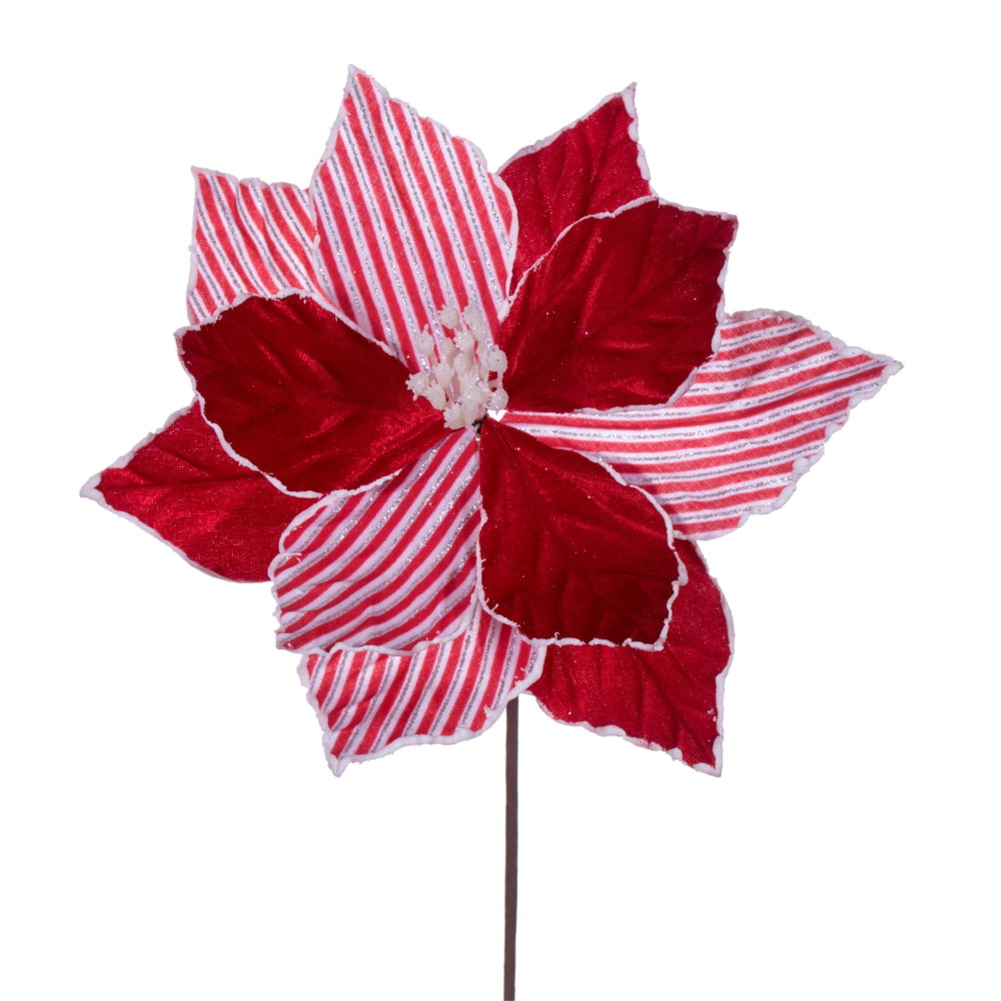 17” Red/White Stripe Poinsettia 5/bag