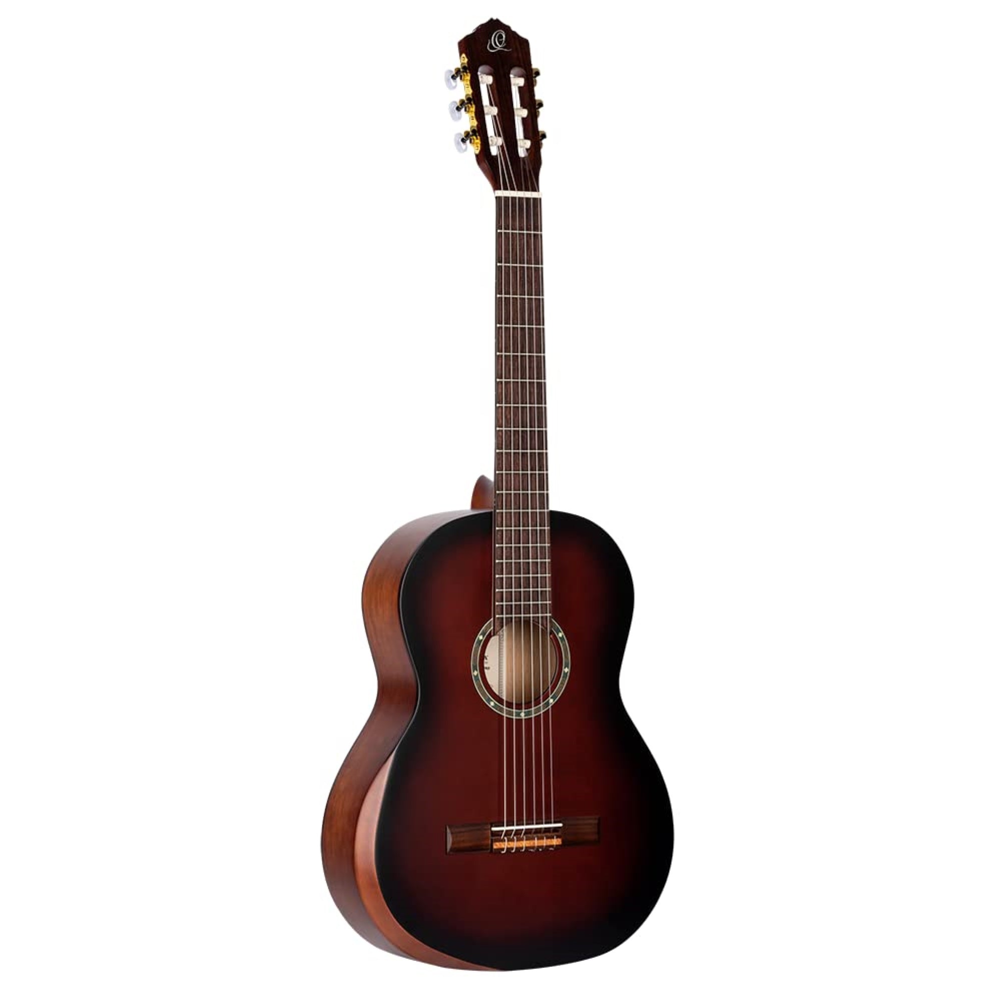 Family Series Pro with Arm Rest Solid Top Nylon Classical Guitar