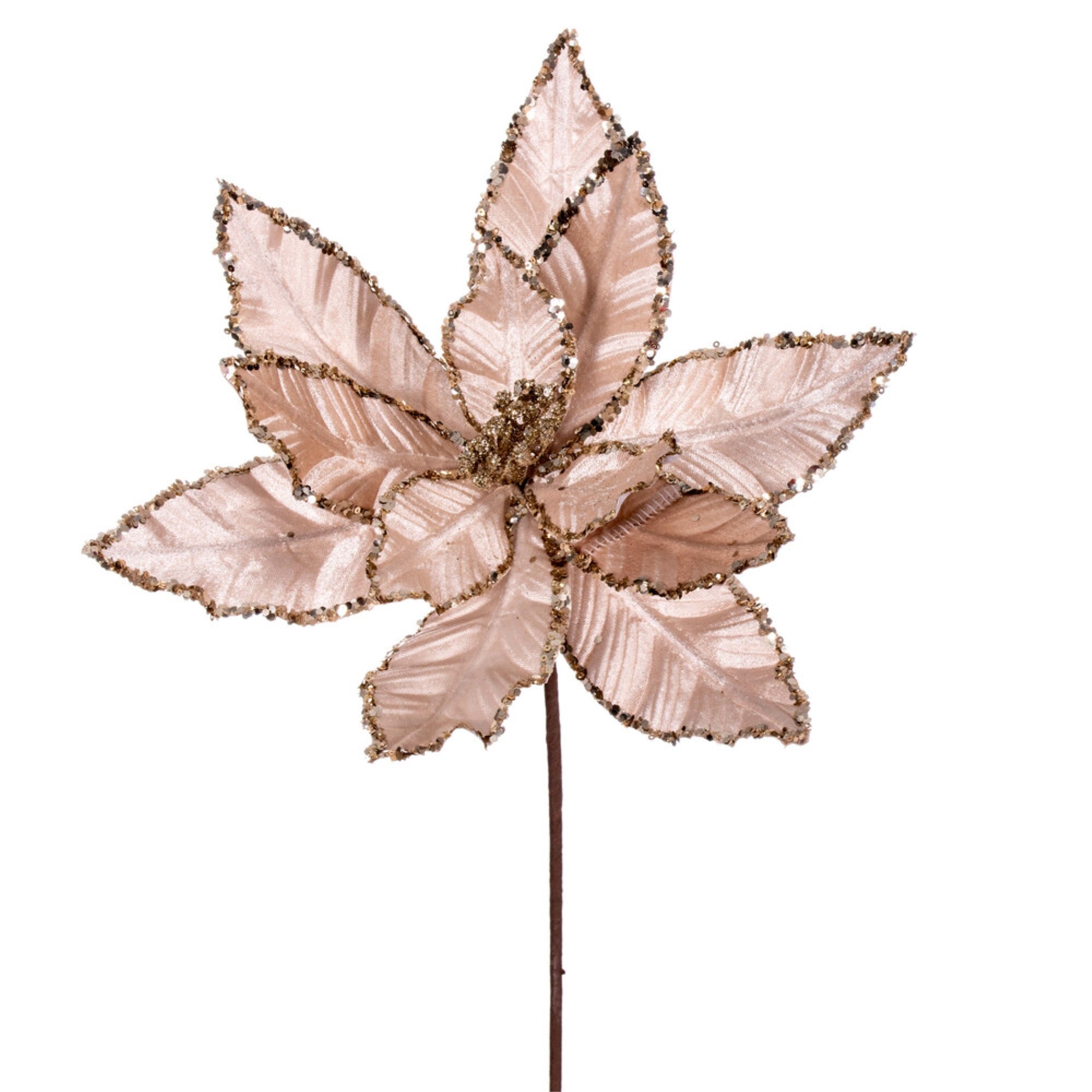 Vickerman 24” Champagne Velvet Sequin Trim Poinsettia 3 per bag.