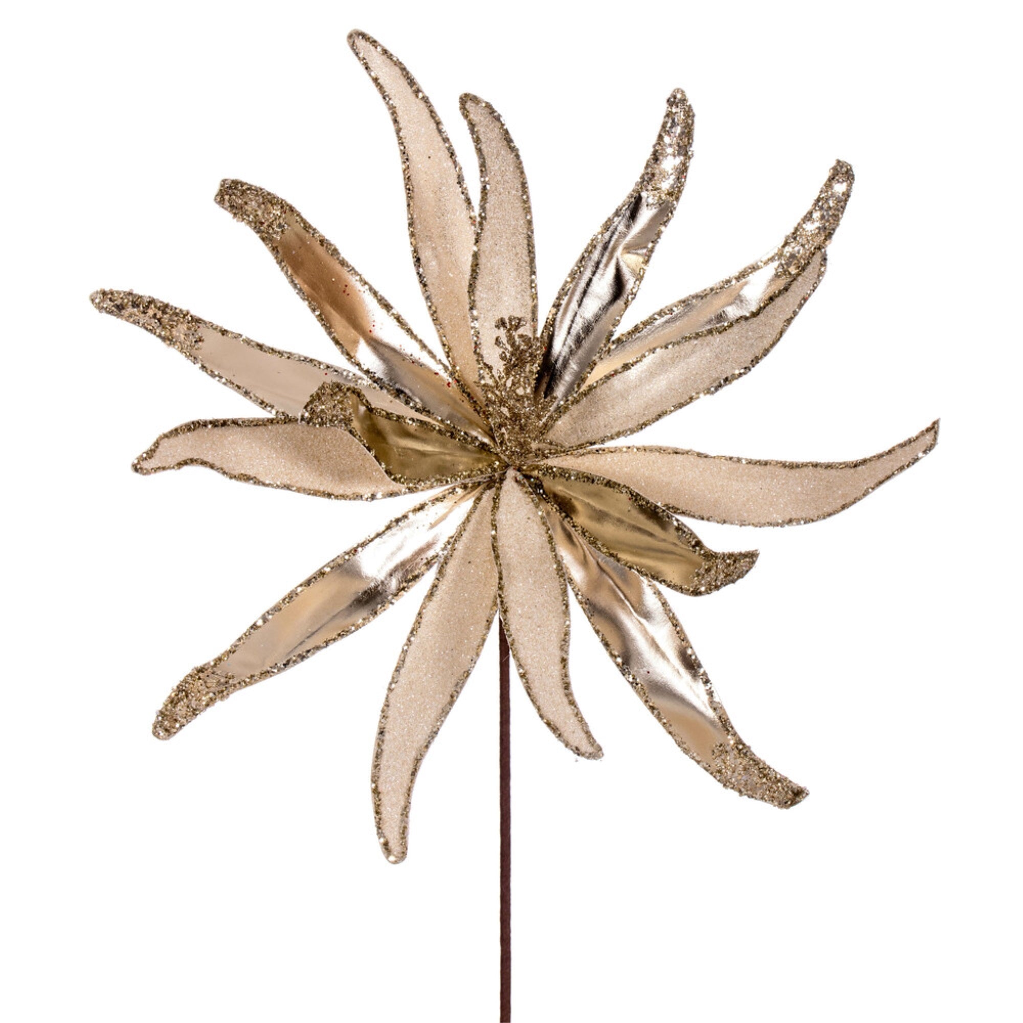 Vickerman 24” Champagne Metallic and Frosted Glitter Papyrus 2 per bag.