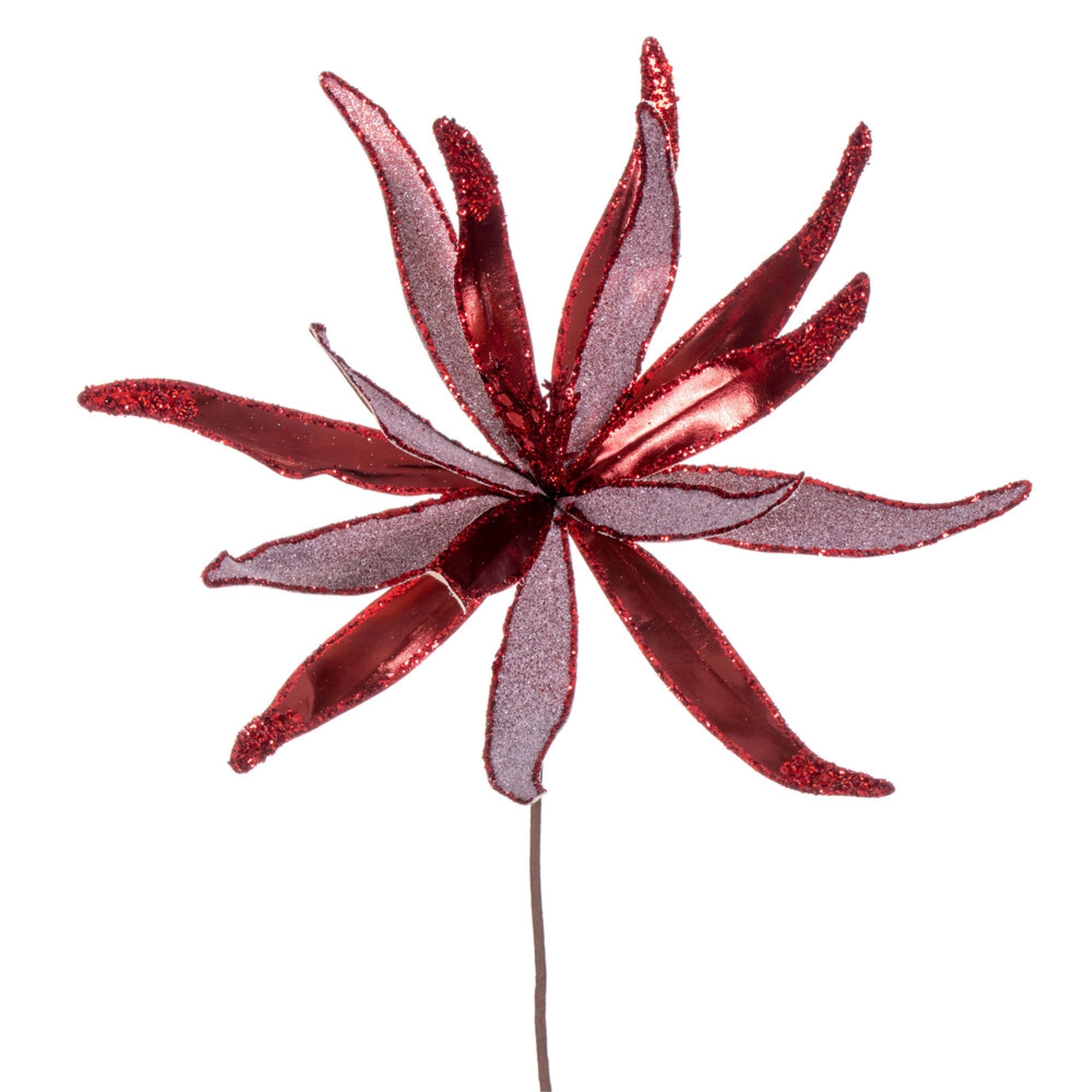 Vickerman 24” Bugundy Metallic and Frosted Glitter Papyrus 2 per bag.