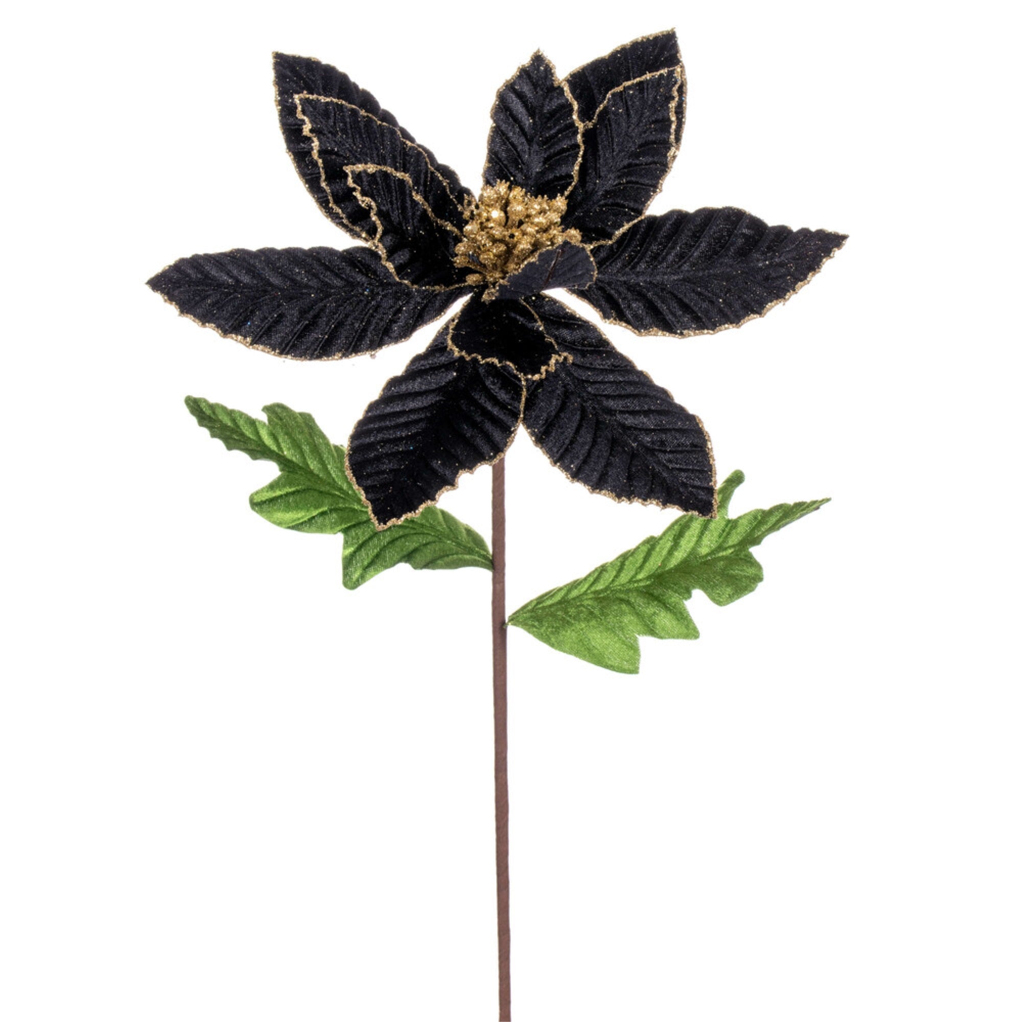 Vickerman 22” Black Velvet Glitter Trim Poinsettia 6 per bag.