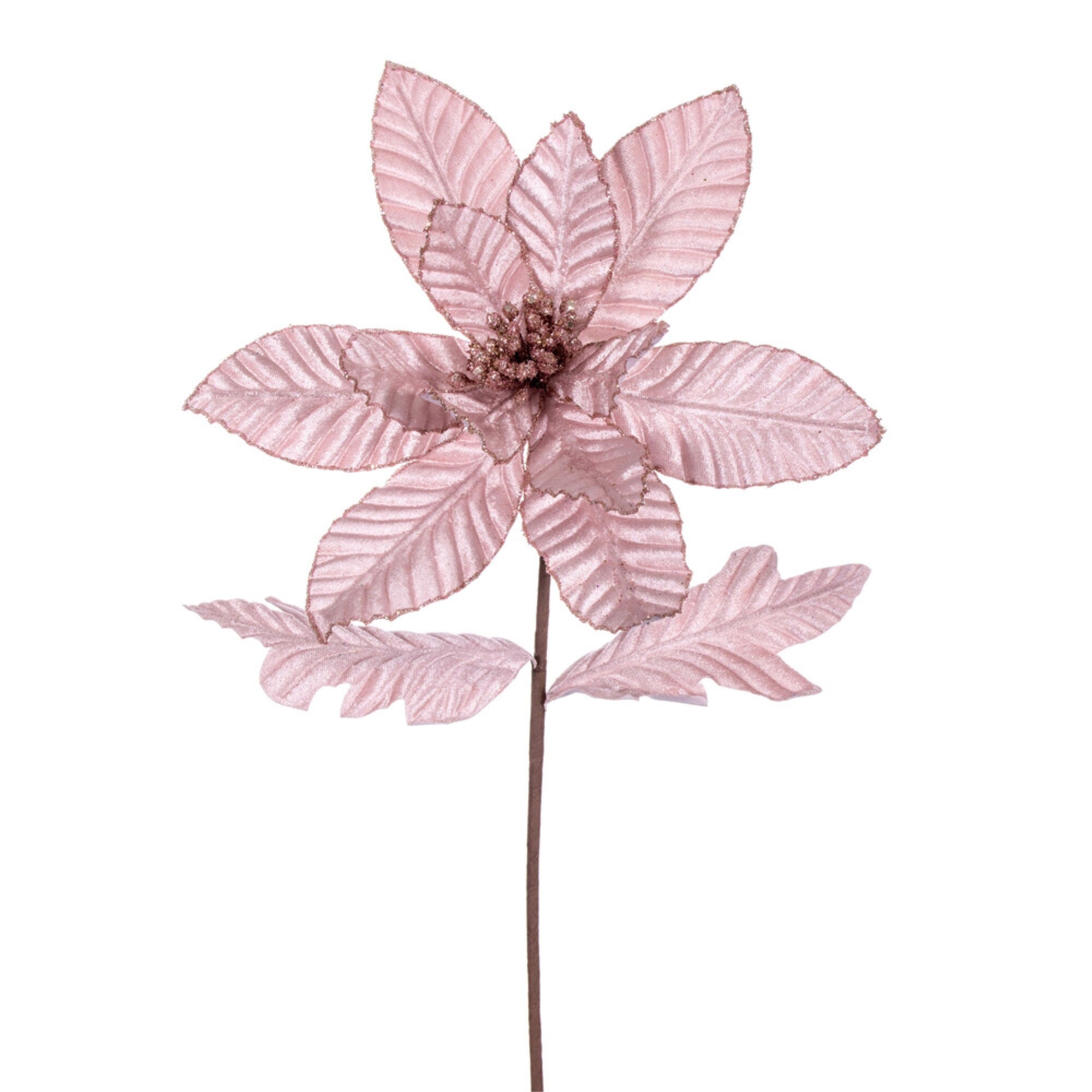 Vickerman 22” Pink Velvet Glitter Trim Poinsettia 6 per bag.