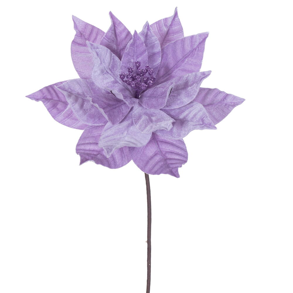 21.5” Lavender Poinsettia 12” Flwr 6/Bag