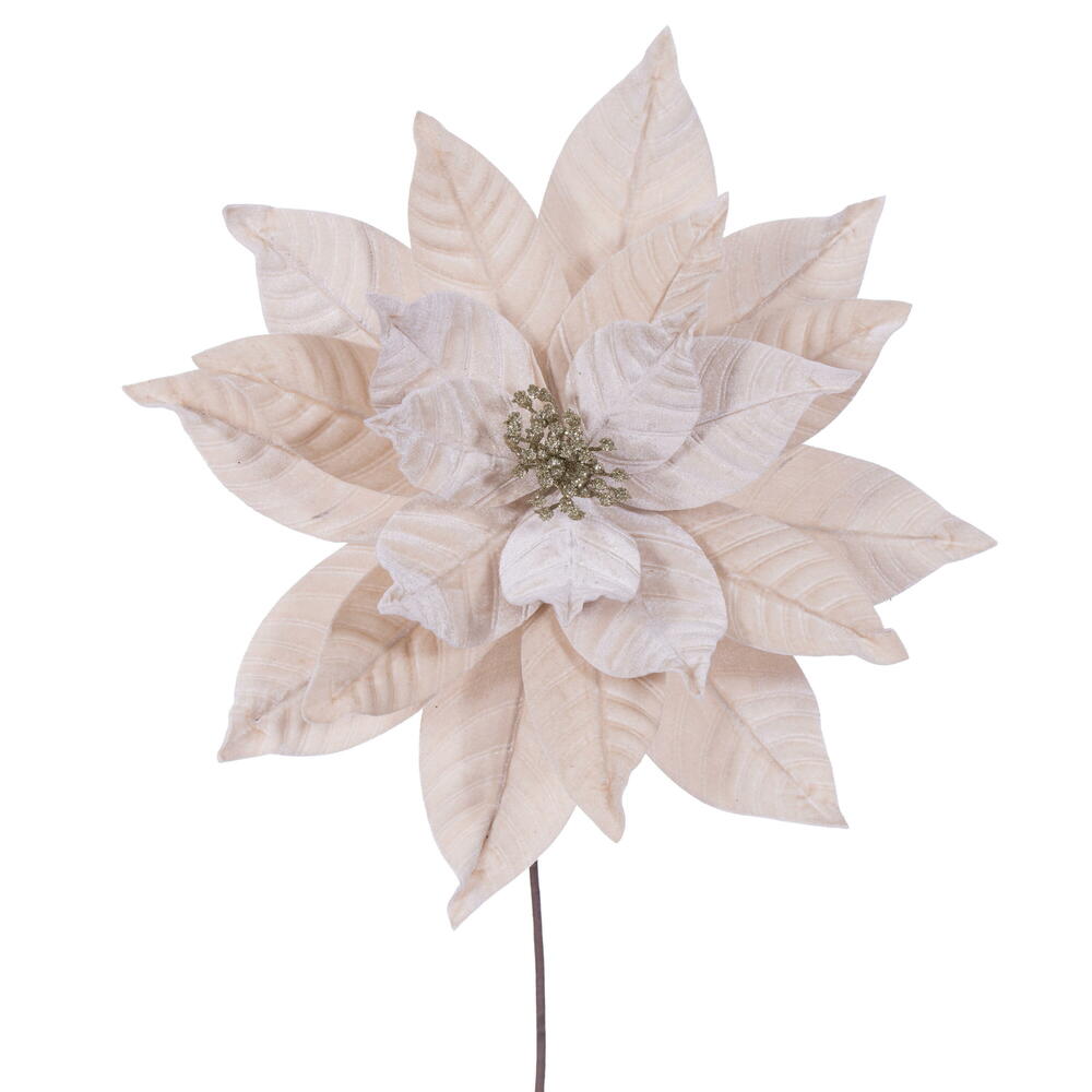 21.5” Champagne Poinsettia 12” Flw 2/Bag