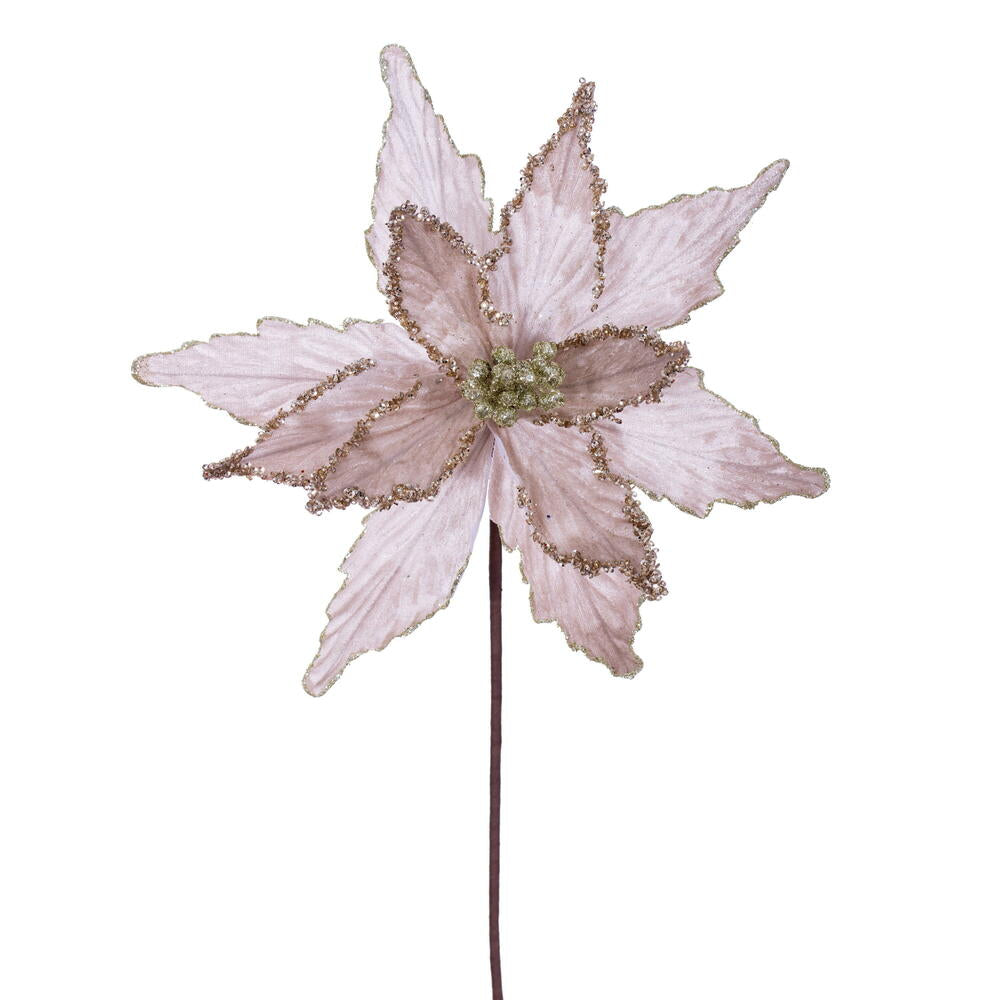 21.5” Champagne Poinsettia 12” Flw 6/Bag