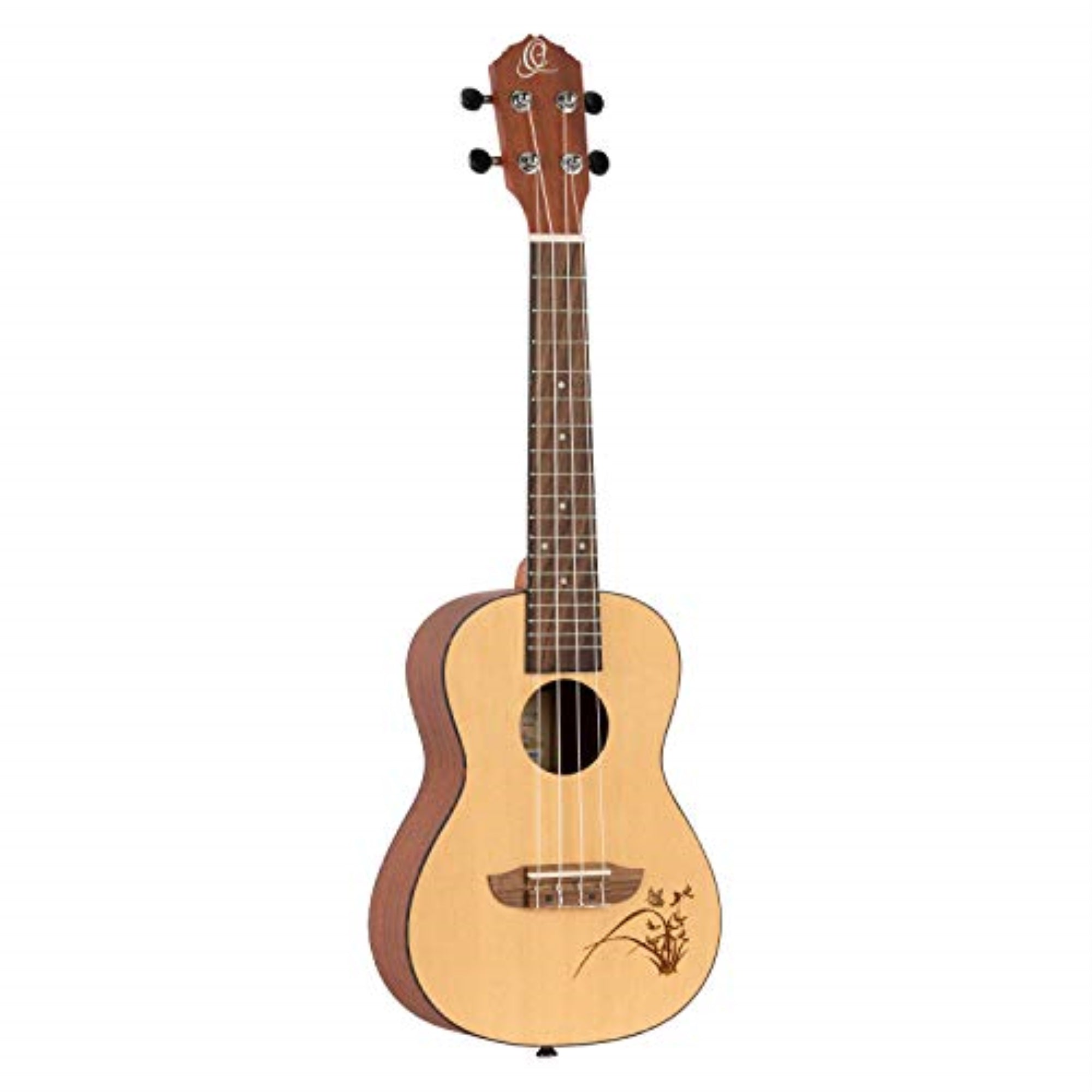 Bonfire Series Concert Ukulele