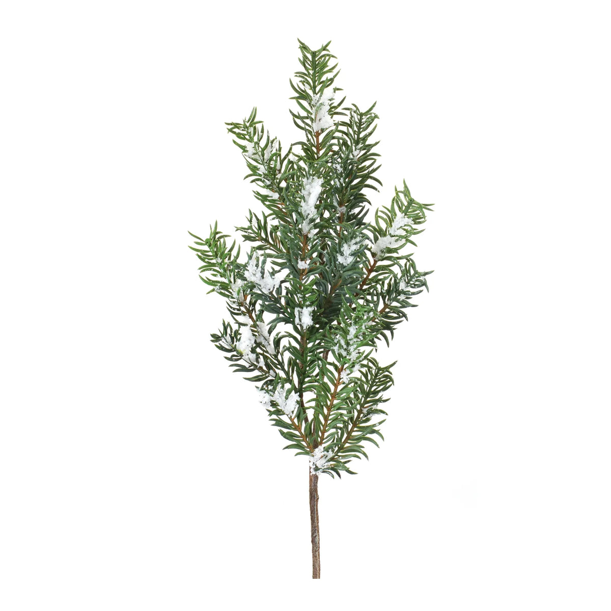 Snow Pine Spray