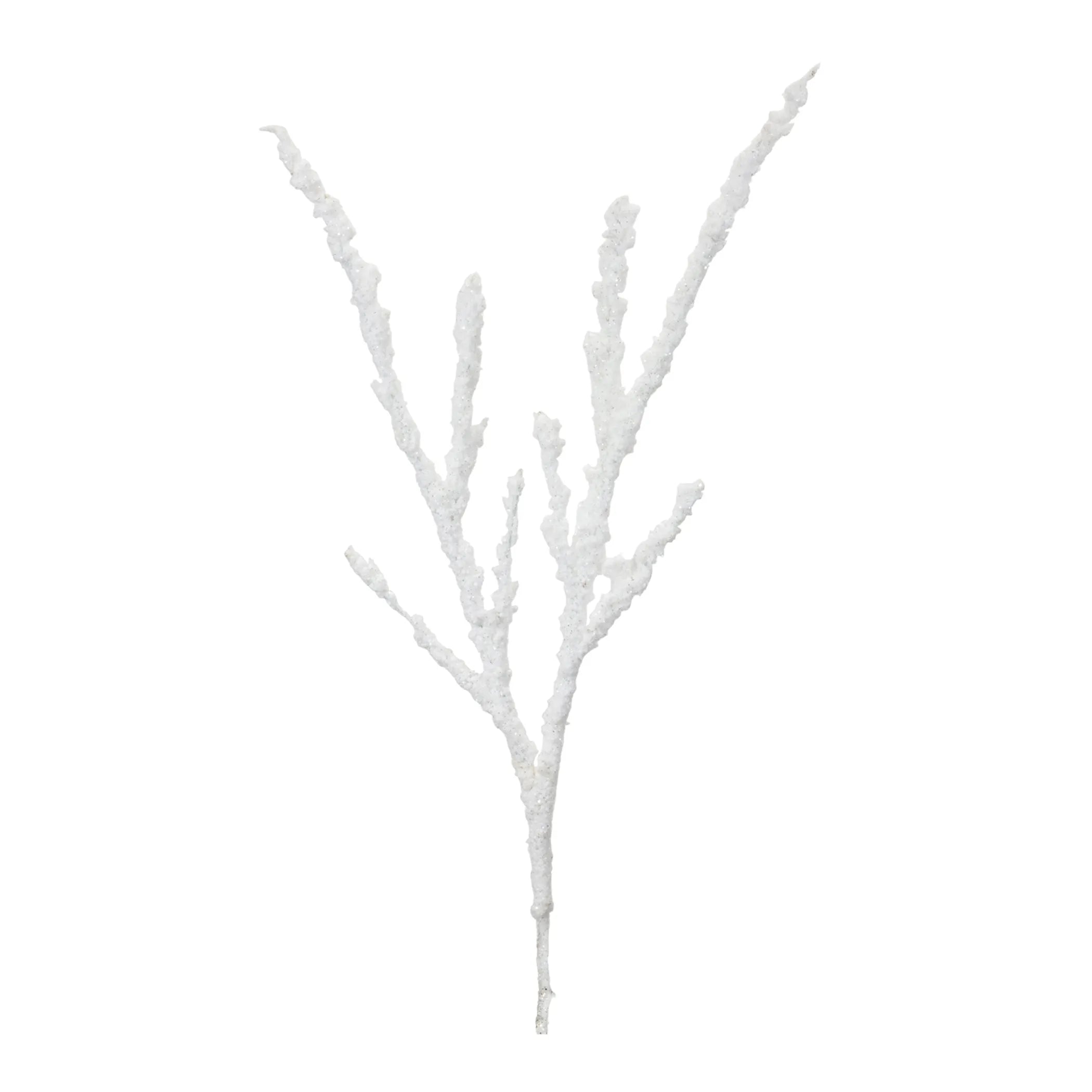 Frosted Snow Branch