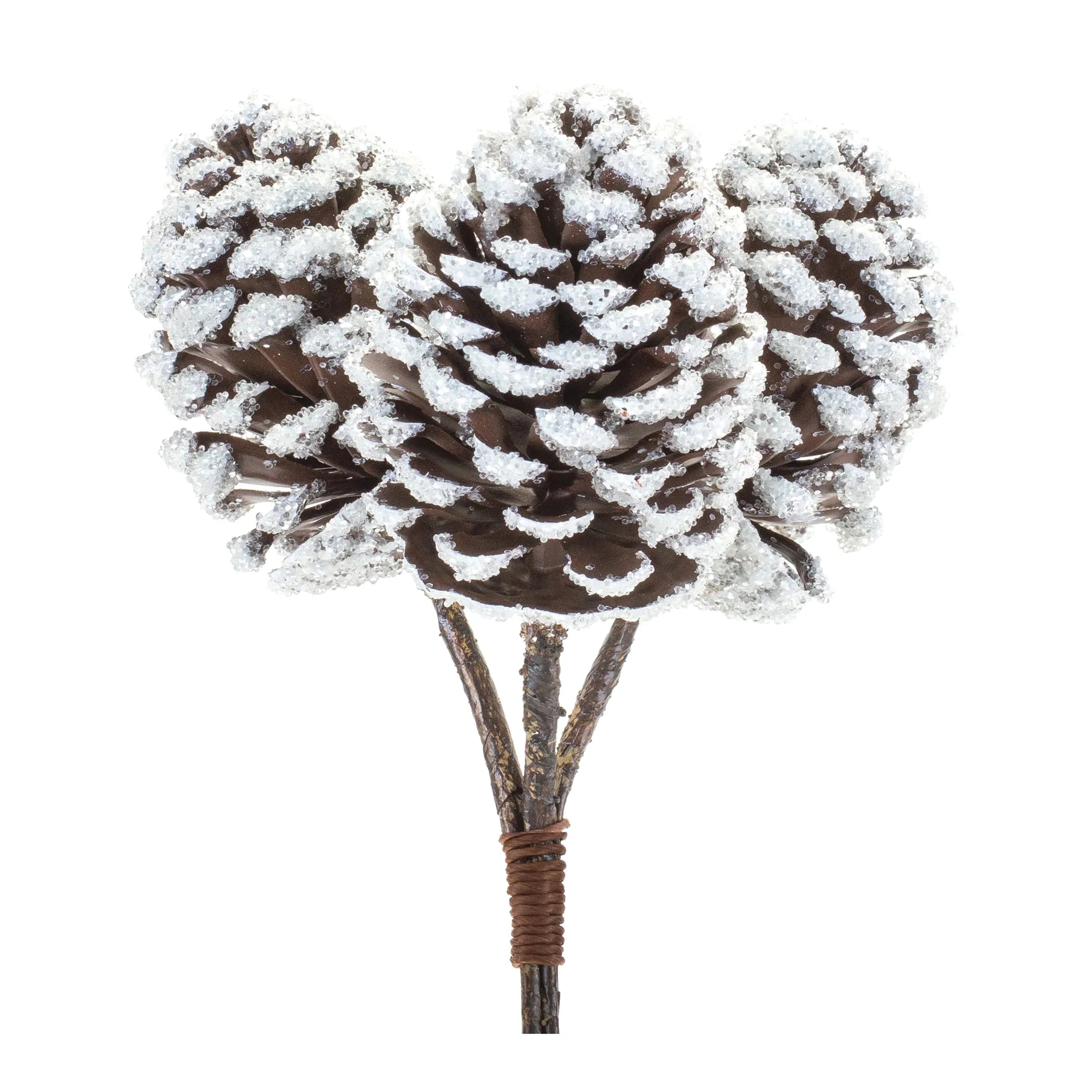 Flocked Pine Cone Bundle