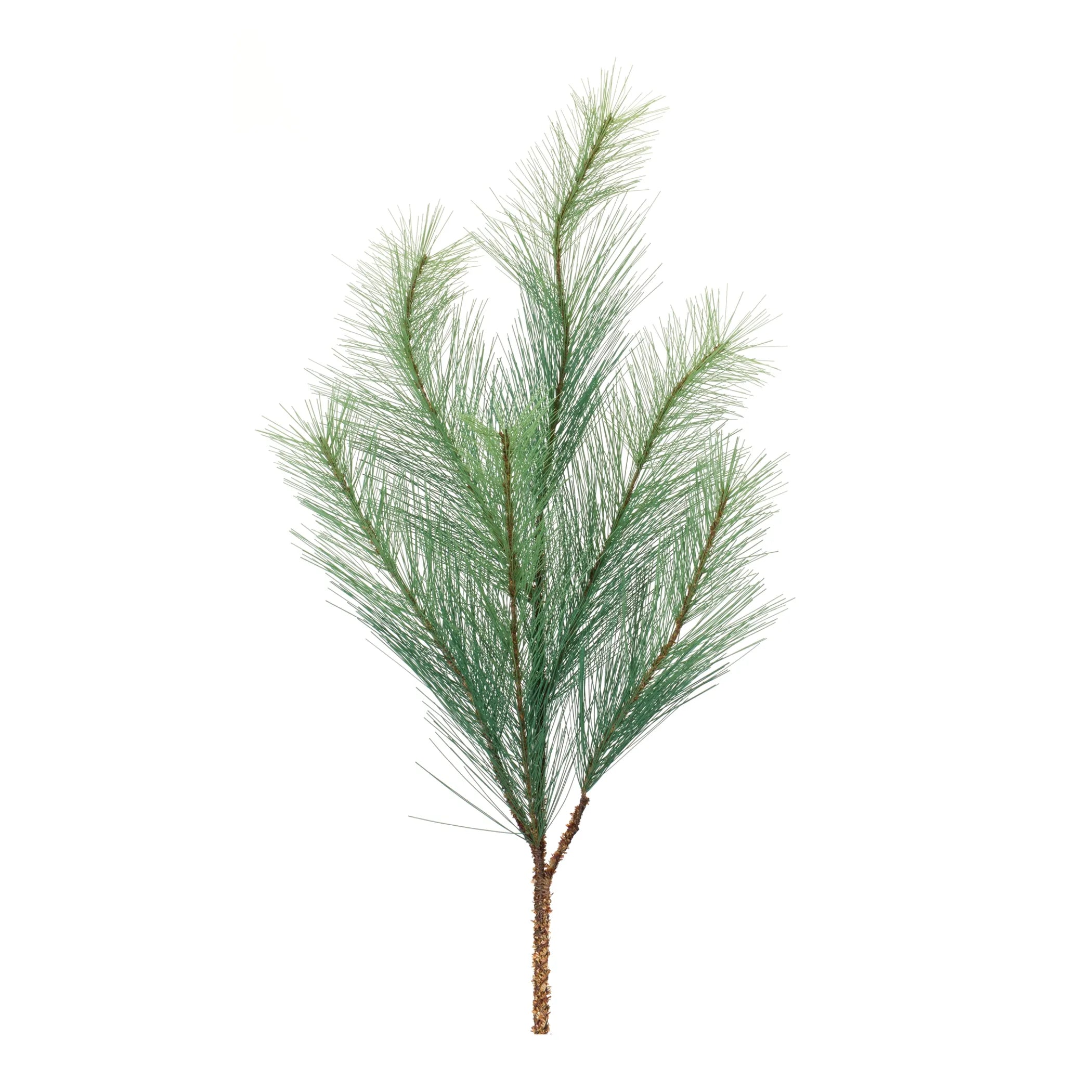 Long Needle Pine Spray