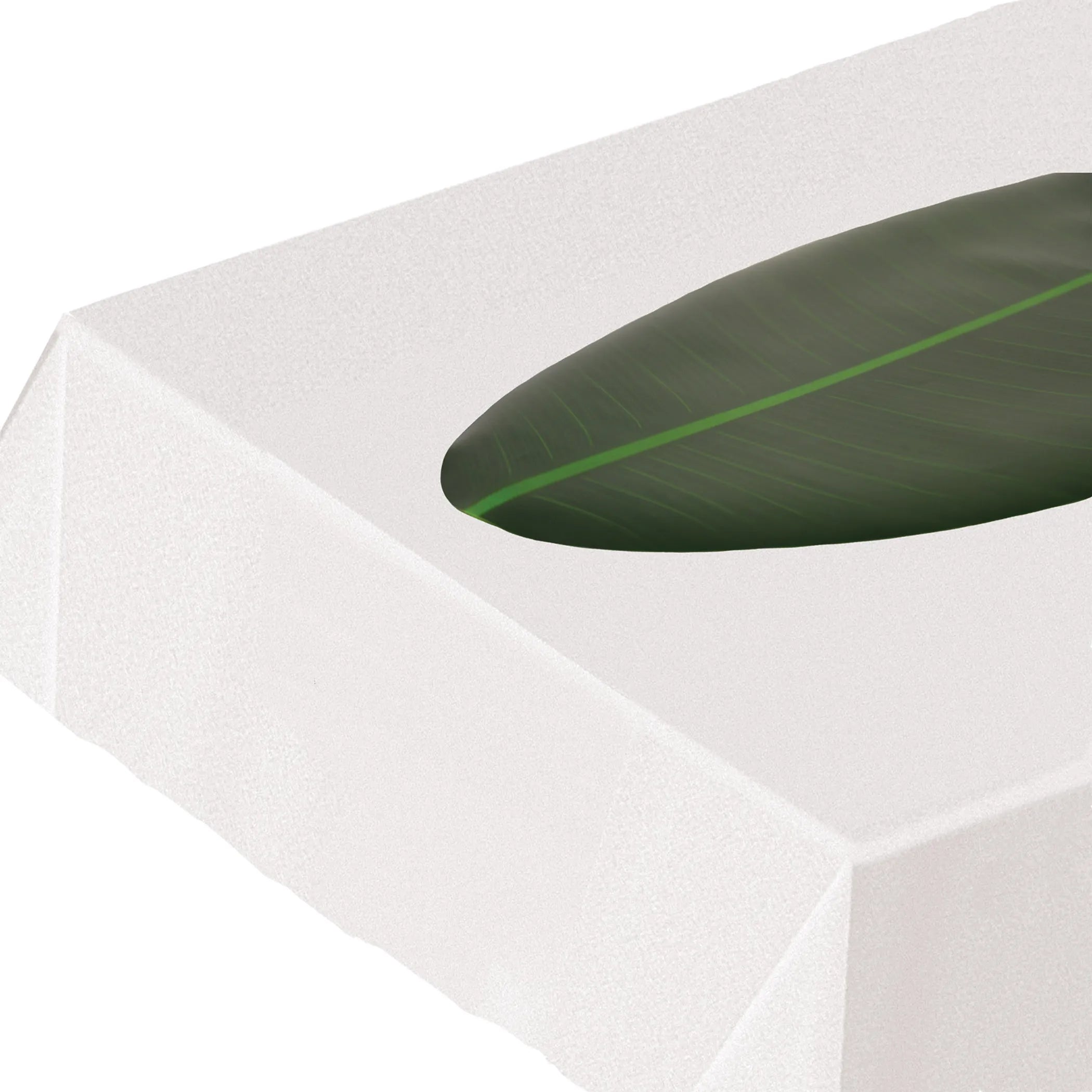 Luau Accessories Novelty Items