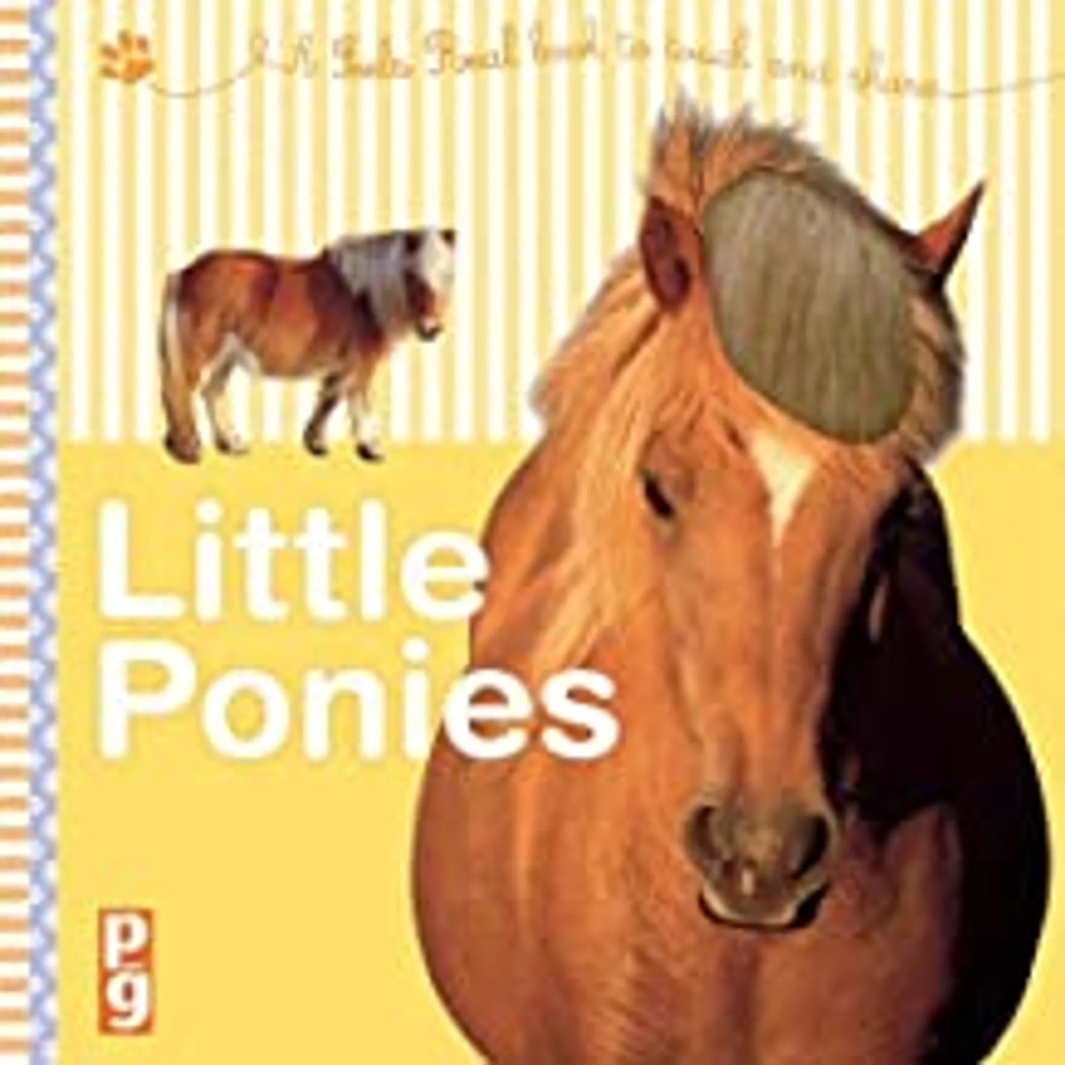 Feels Real - Little Ponies: With Irresistible Touch-And-Feel Textures (Age 0-4)